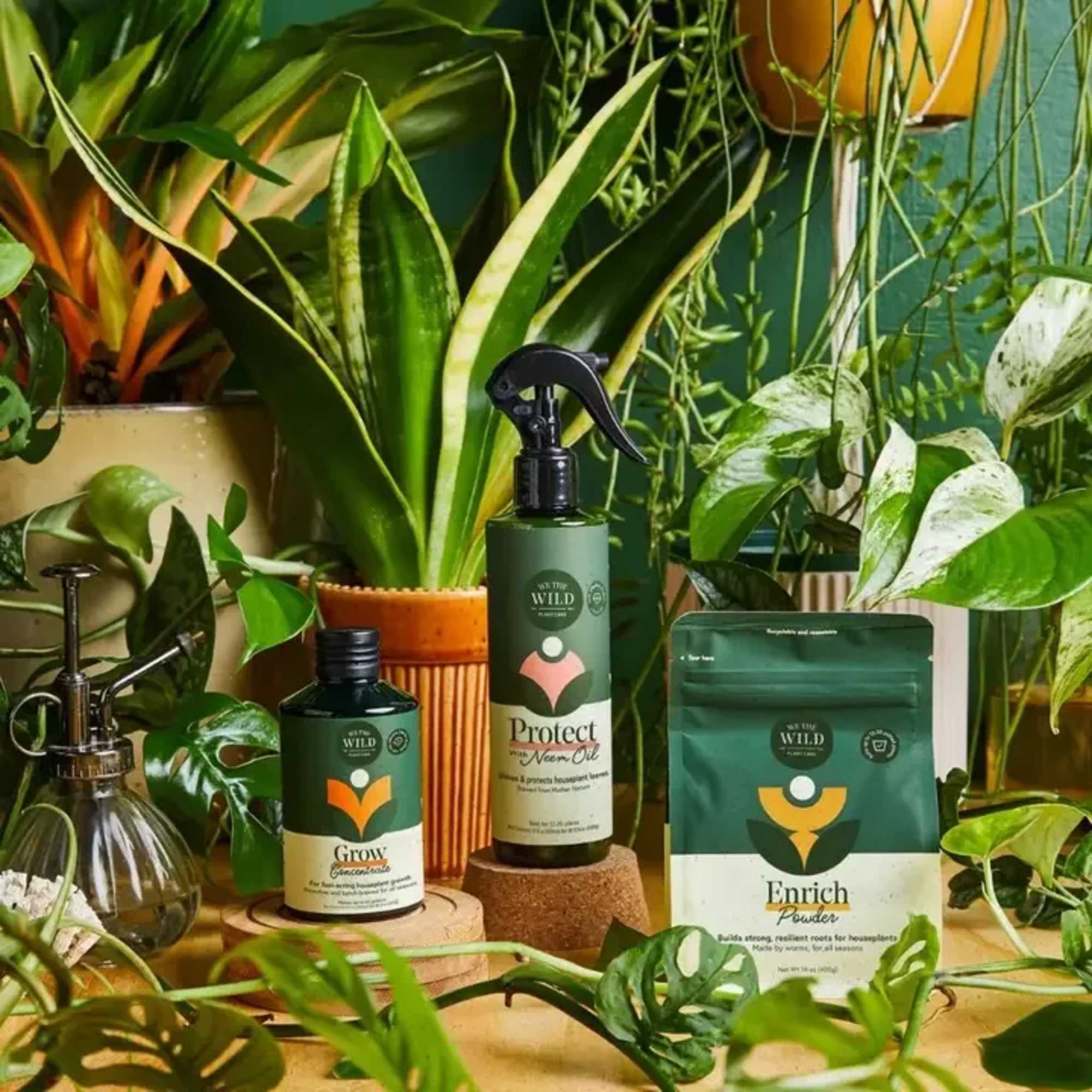 Want your plants to thrive without the guesswork? Our 3 Essentials give
