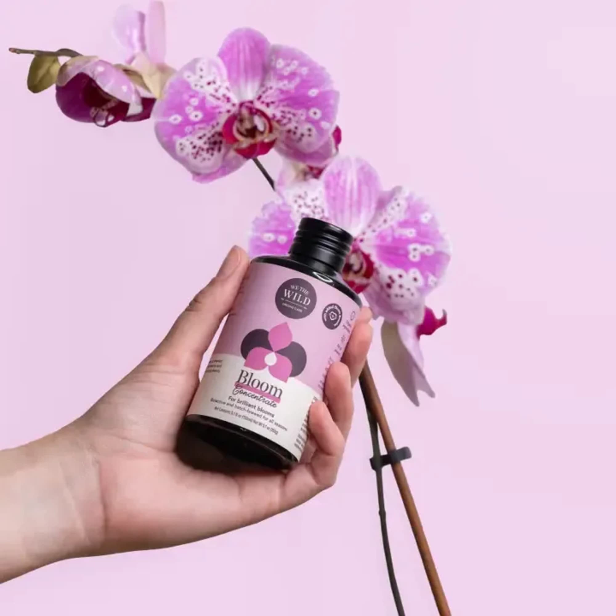 Our organic essentials have been reformulated to make your orchids thrive! Our