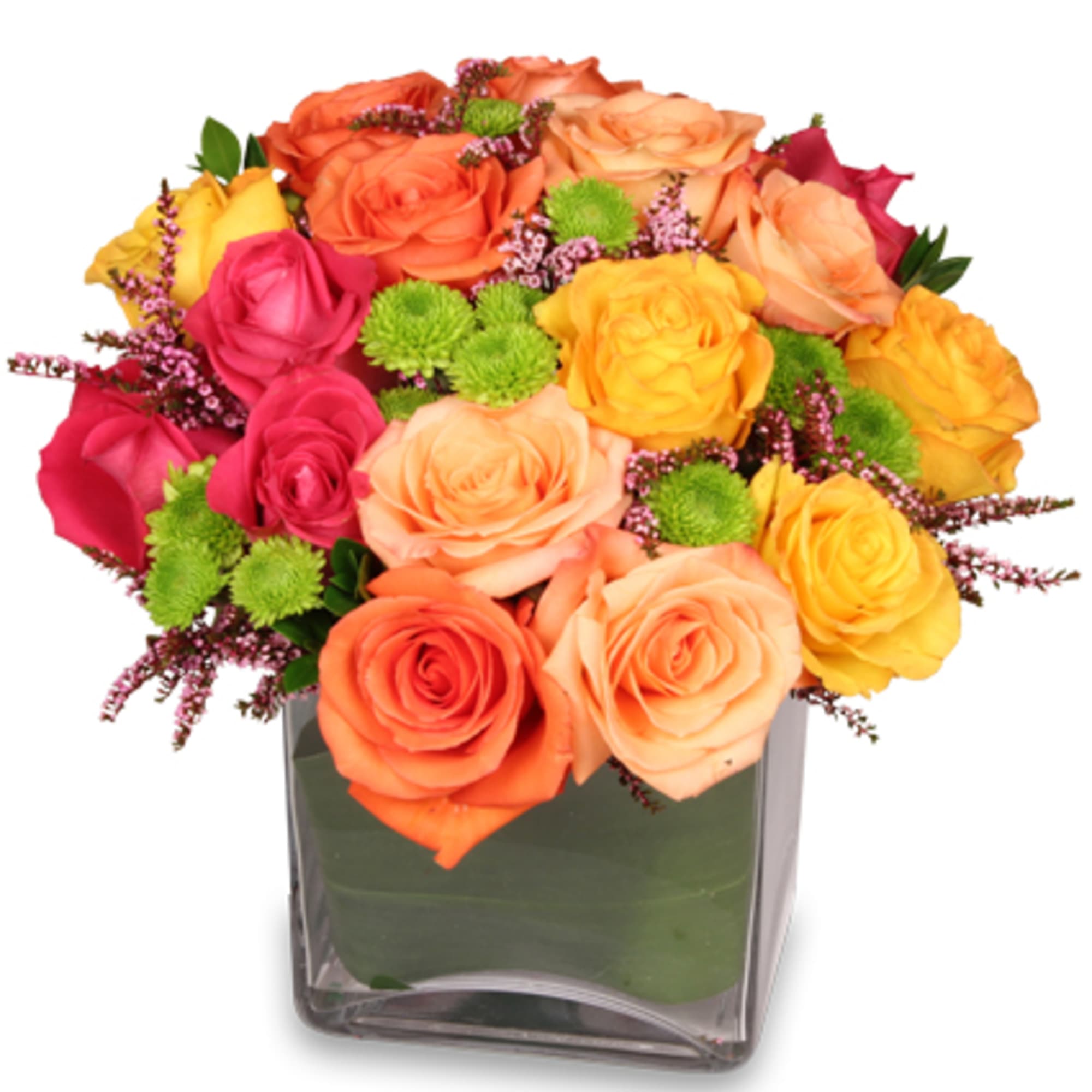 Twelve stunning arrangements designed with the freshest flowers of each season! Enjoy