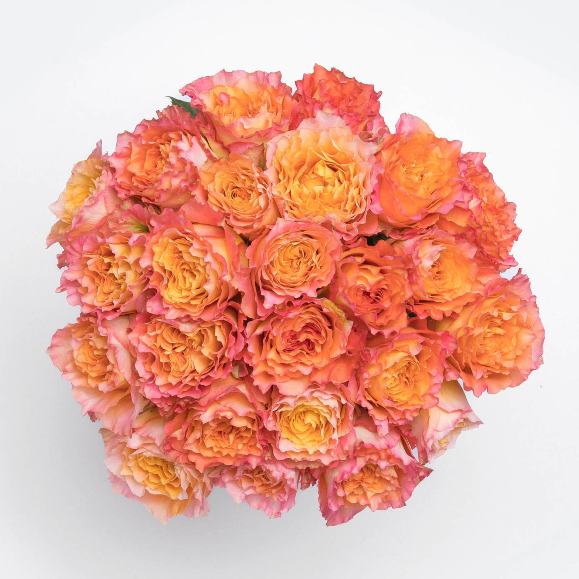 This bouquet features a stunningly bright and cheerful bloom that will slowly