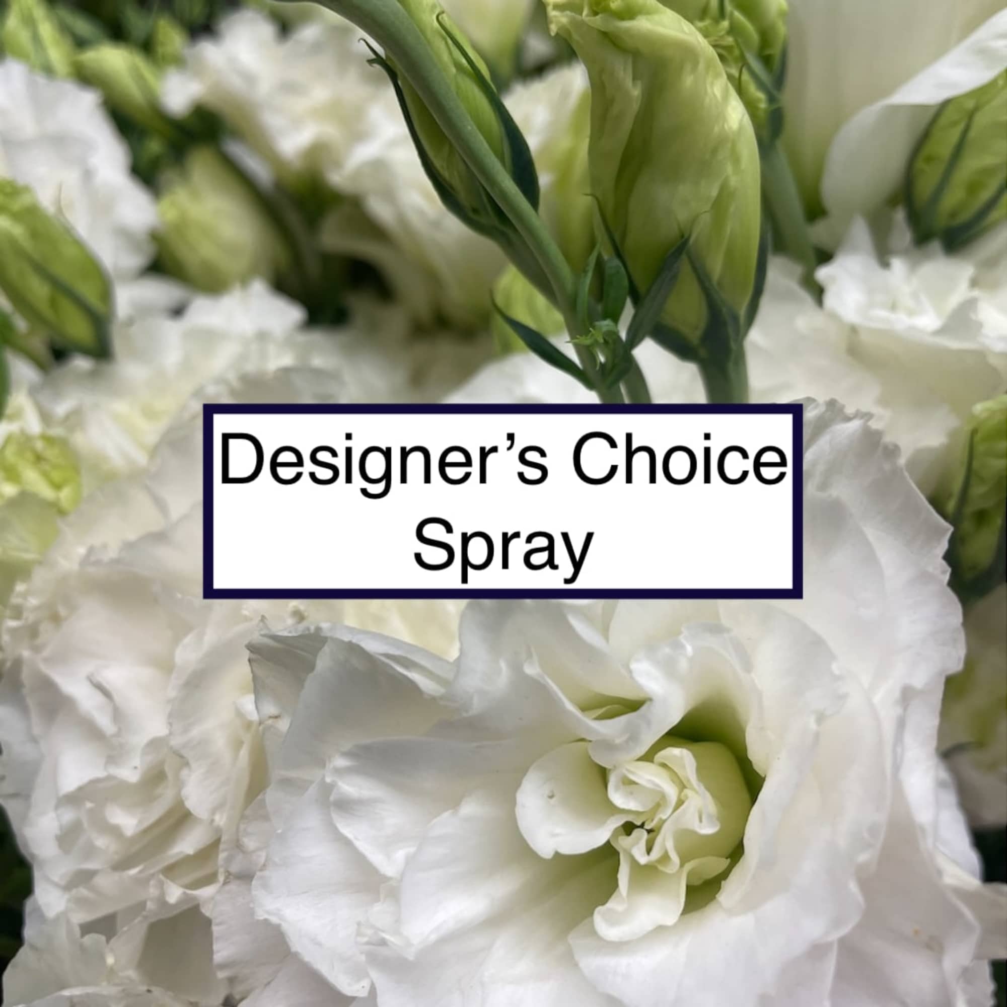 Didn&#039;t see a color theme you liked on our Spray section? Let