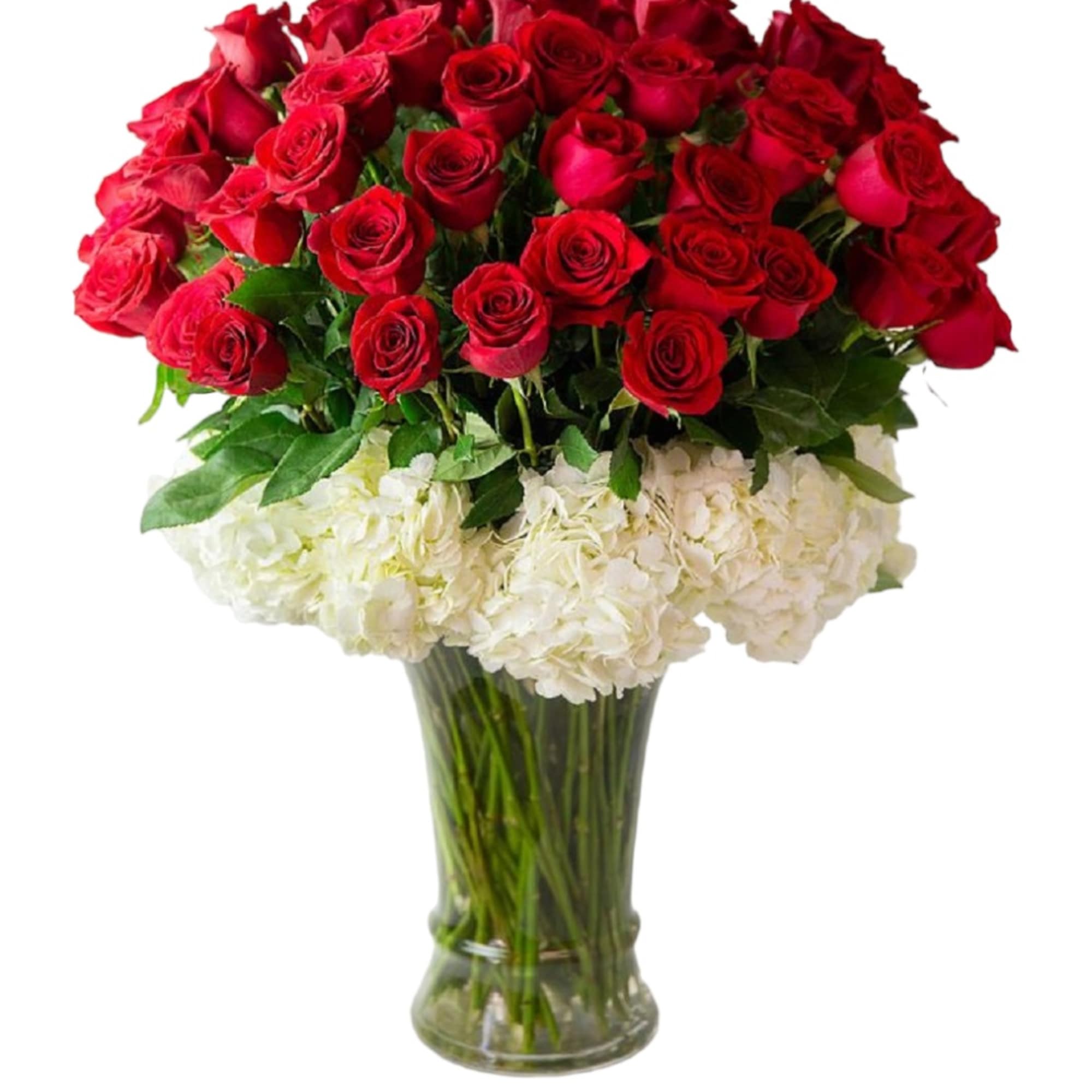 Send this luxury red rose arrangement wrapped in white hydrangeas. 

DETAILS
Beautiful velvety