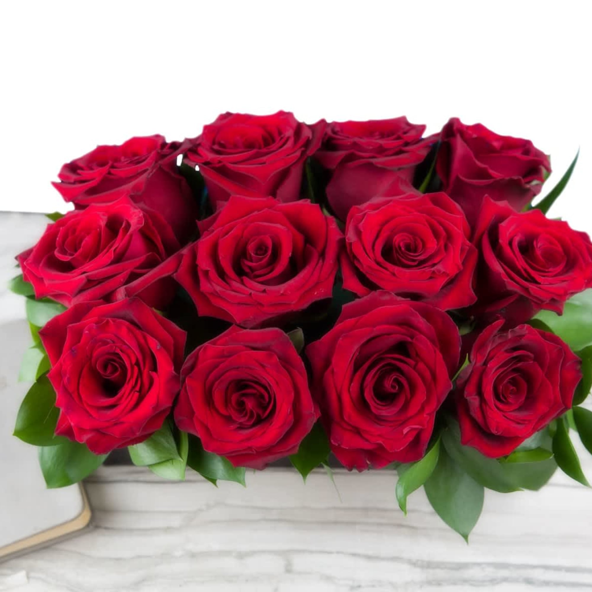 One Dozen Red Roses in a Black Wooden Box. Deluxe: One and