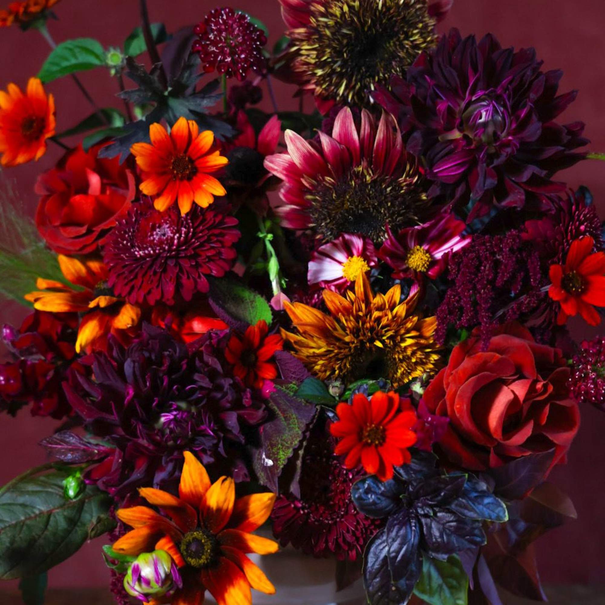 As the days grow shorter, the nights draw in longer and the