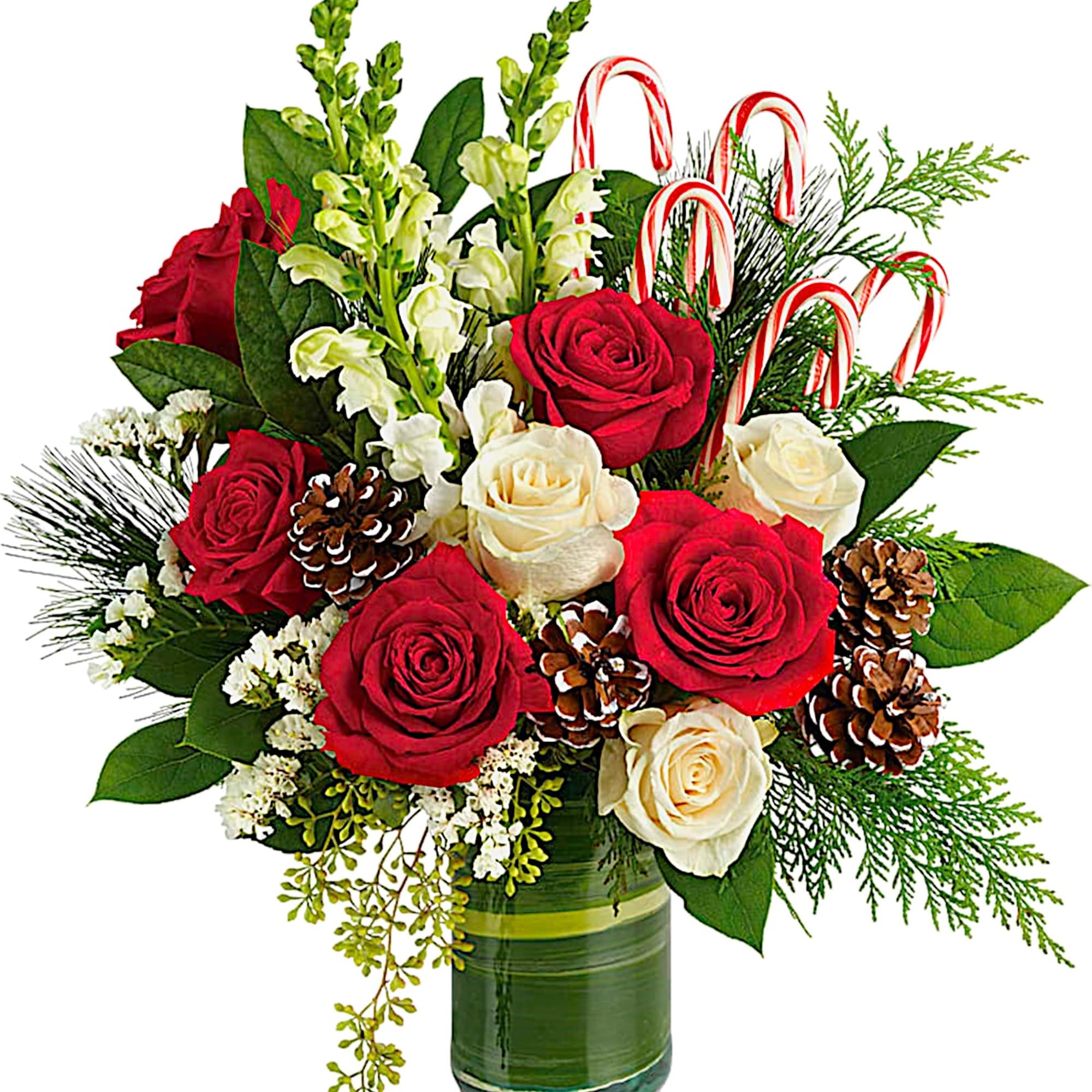 An instant Christmas party, this festive arrangement bursts with fresh blooms of