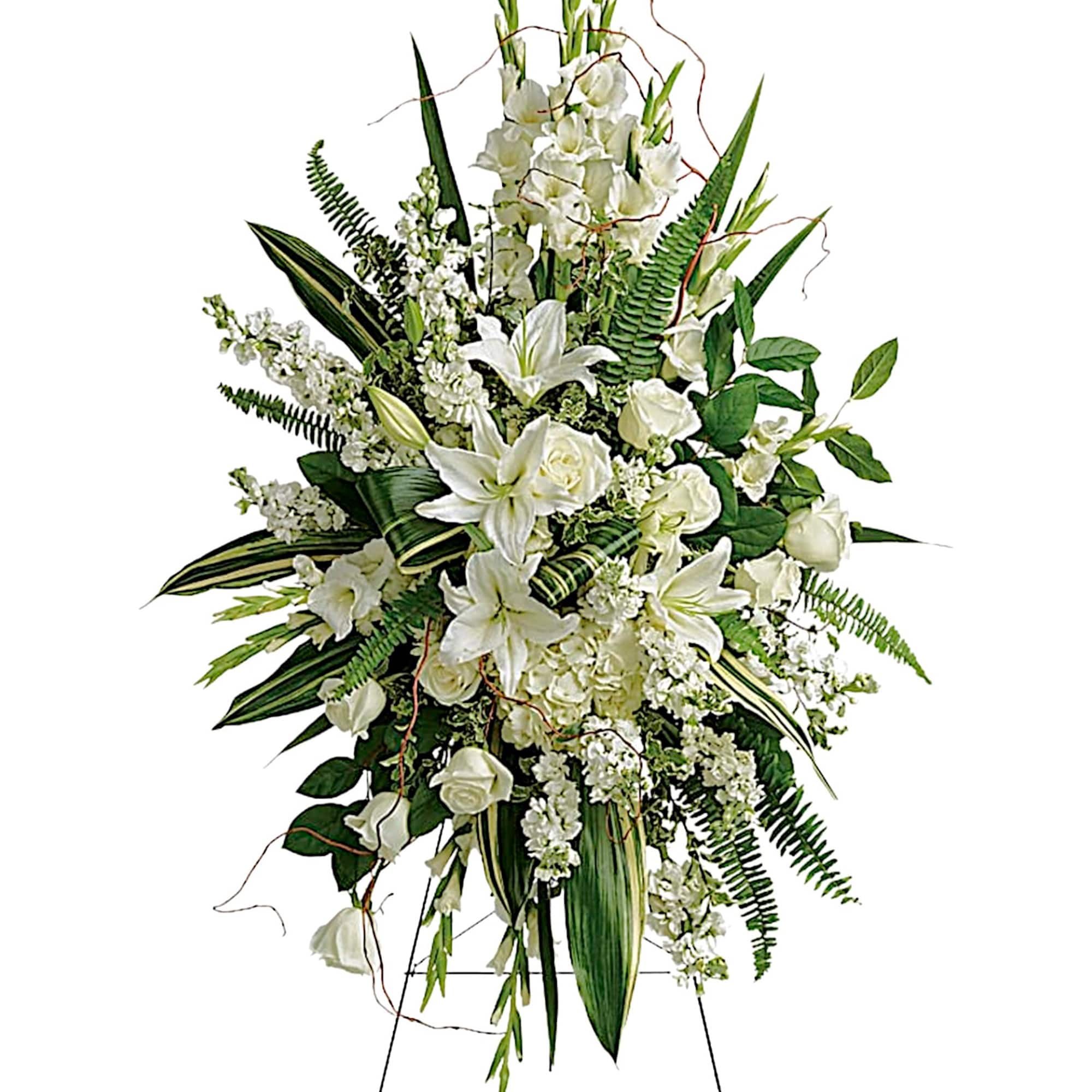 A peaceful display of your heartfelt sympathy, this pure white spray of