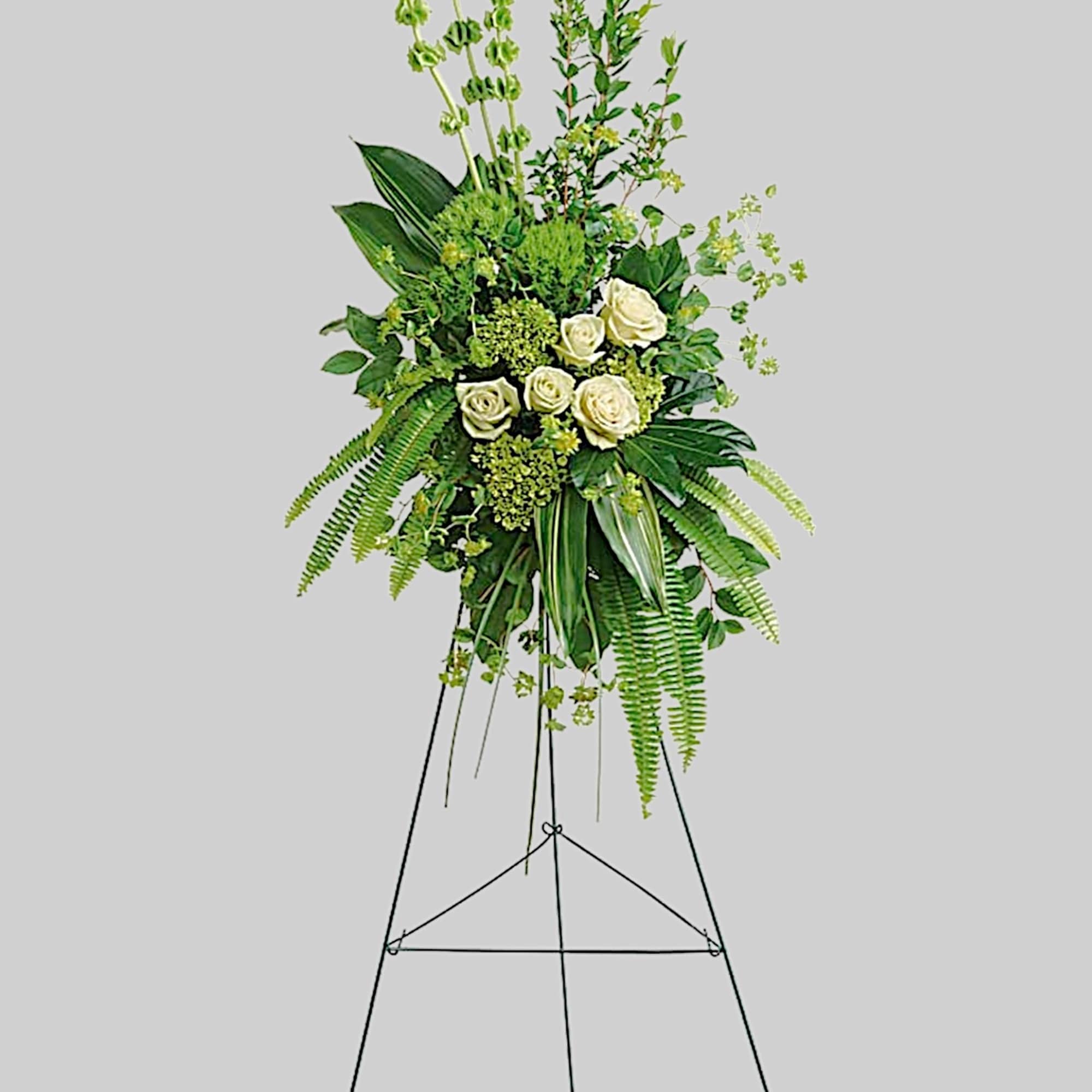 Peaceful white roses and gorgeous green hydrangea create an unforgettably elegant spray