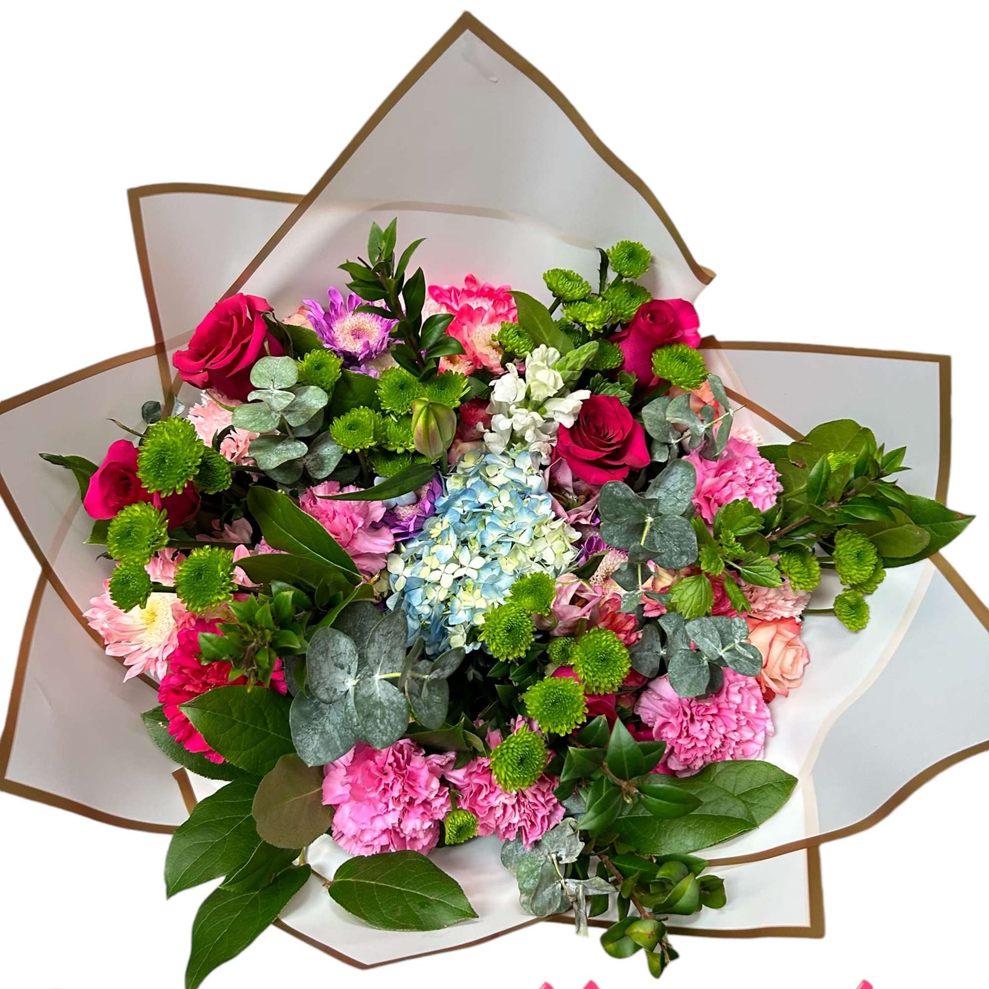 Beautiful colors that make you feel at home in nature 