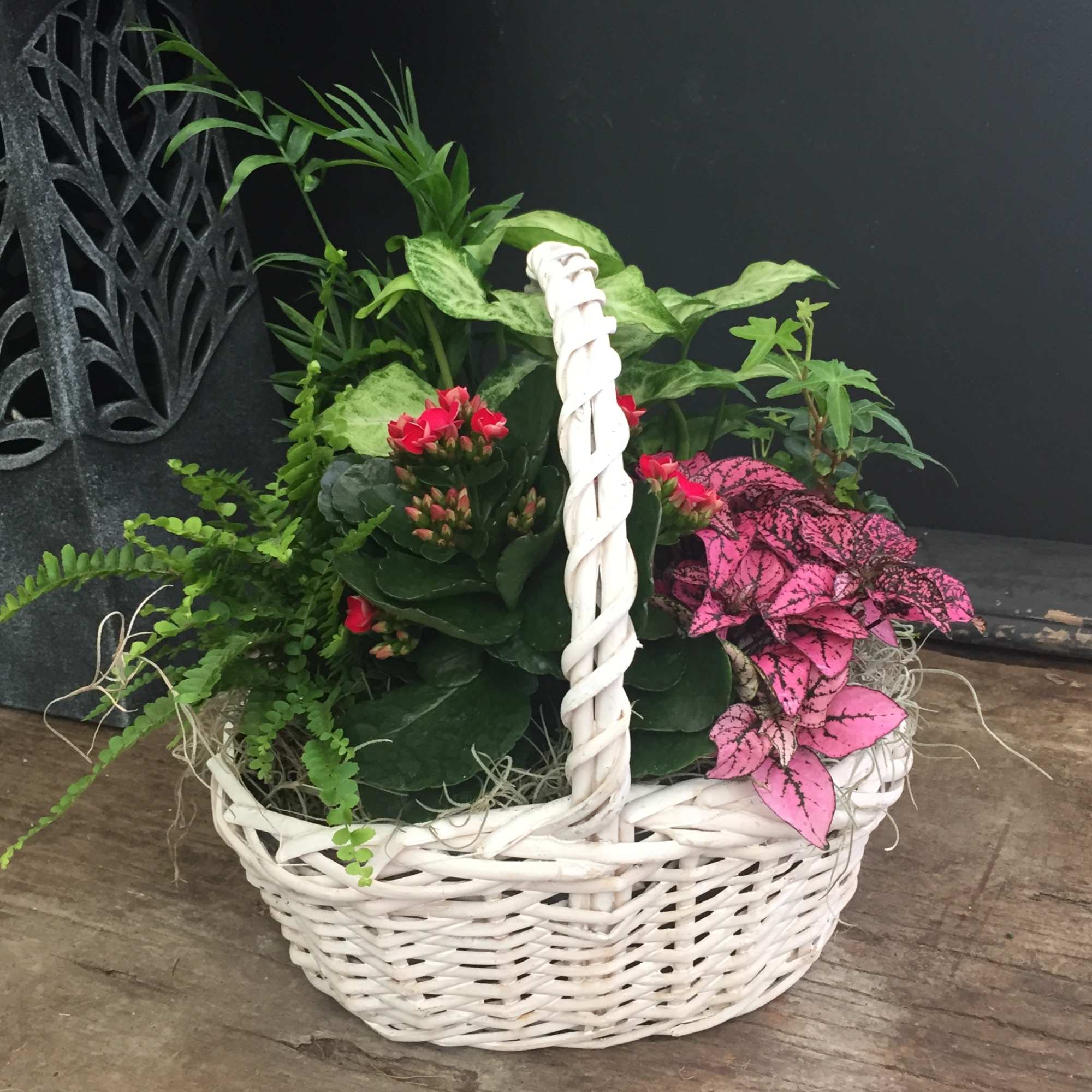 Send Mom some love and some beautiful plants this year.  They Send Mom some love and some beautiful plants this year.  They