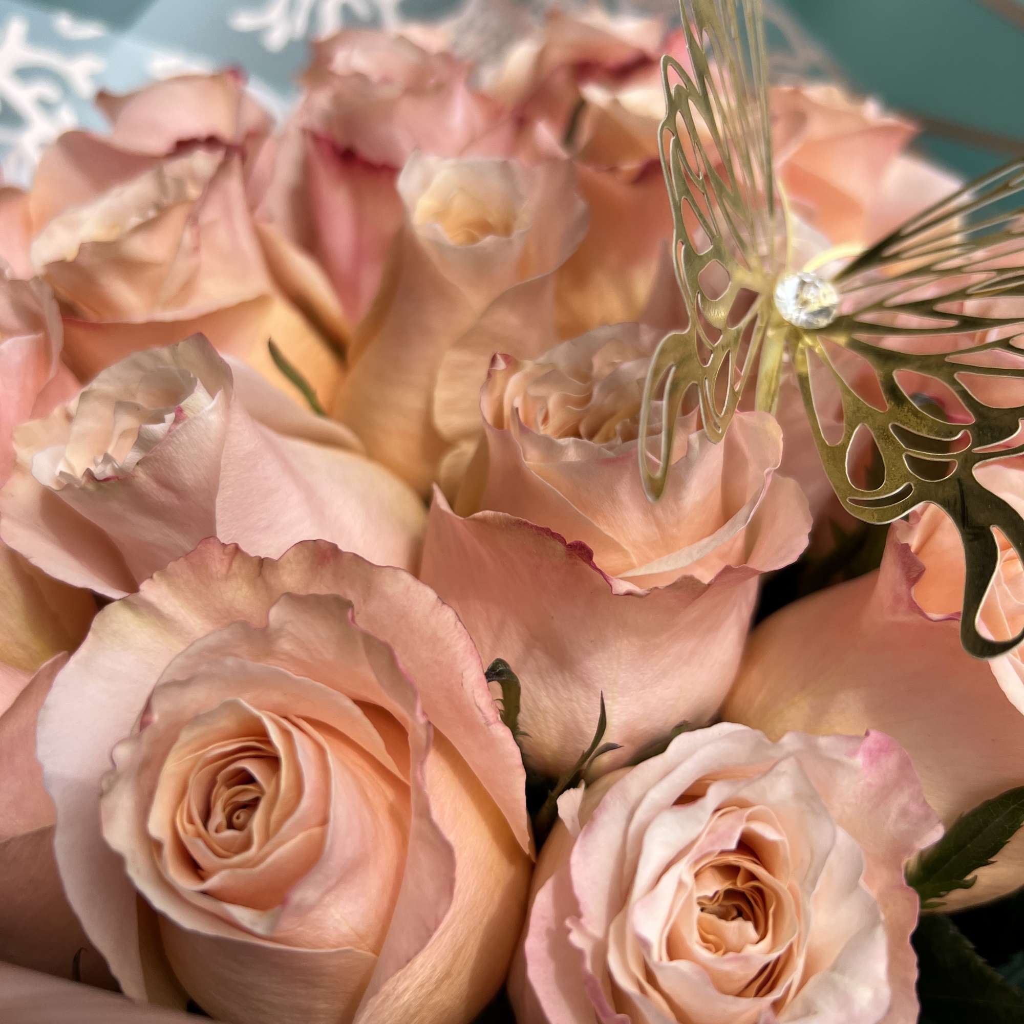 24 Peach Roses
Wrapped green paper 