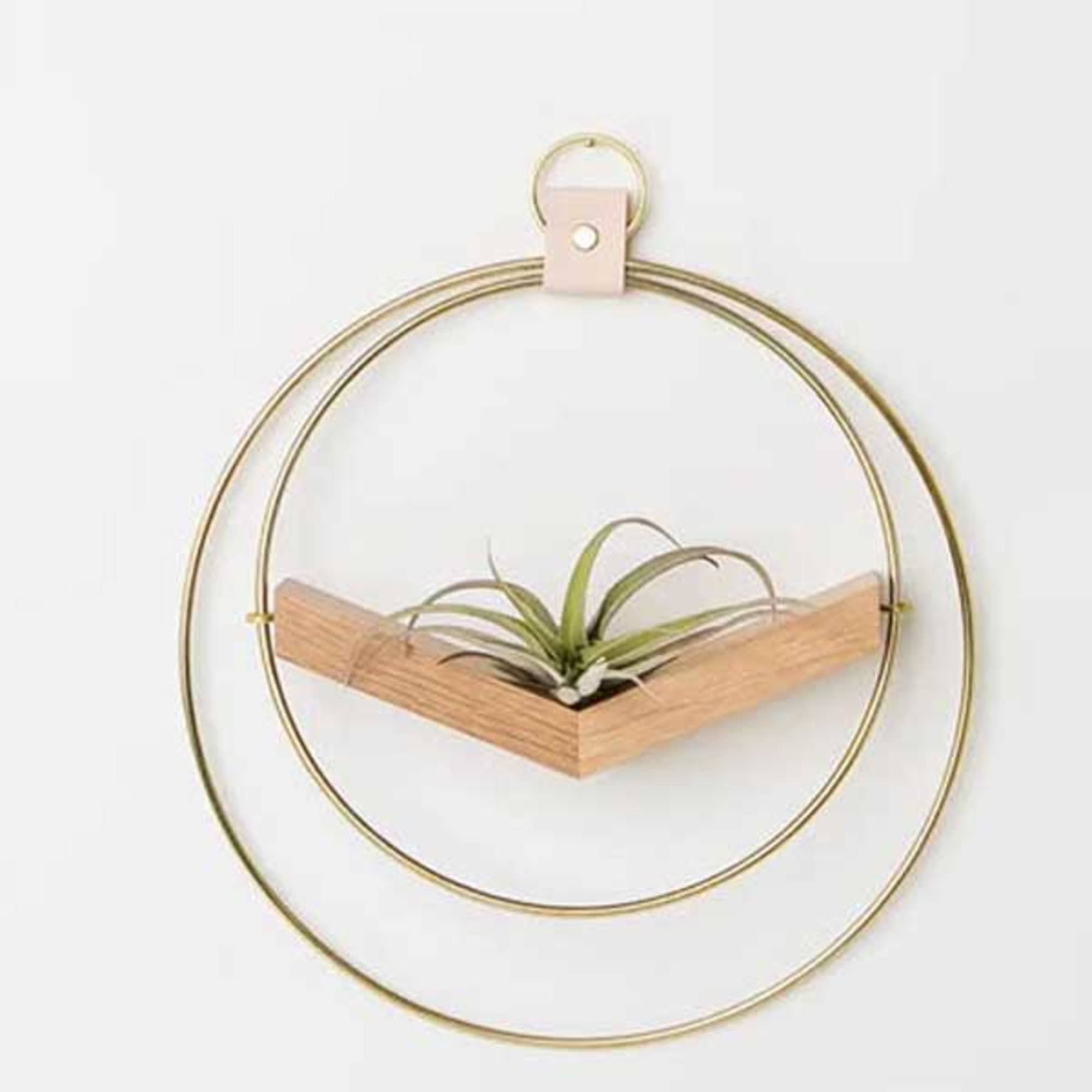 A chic &amp; timeless plant hanger that looks like modern wall decor