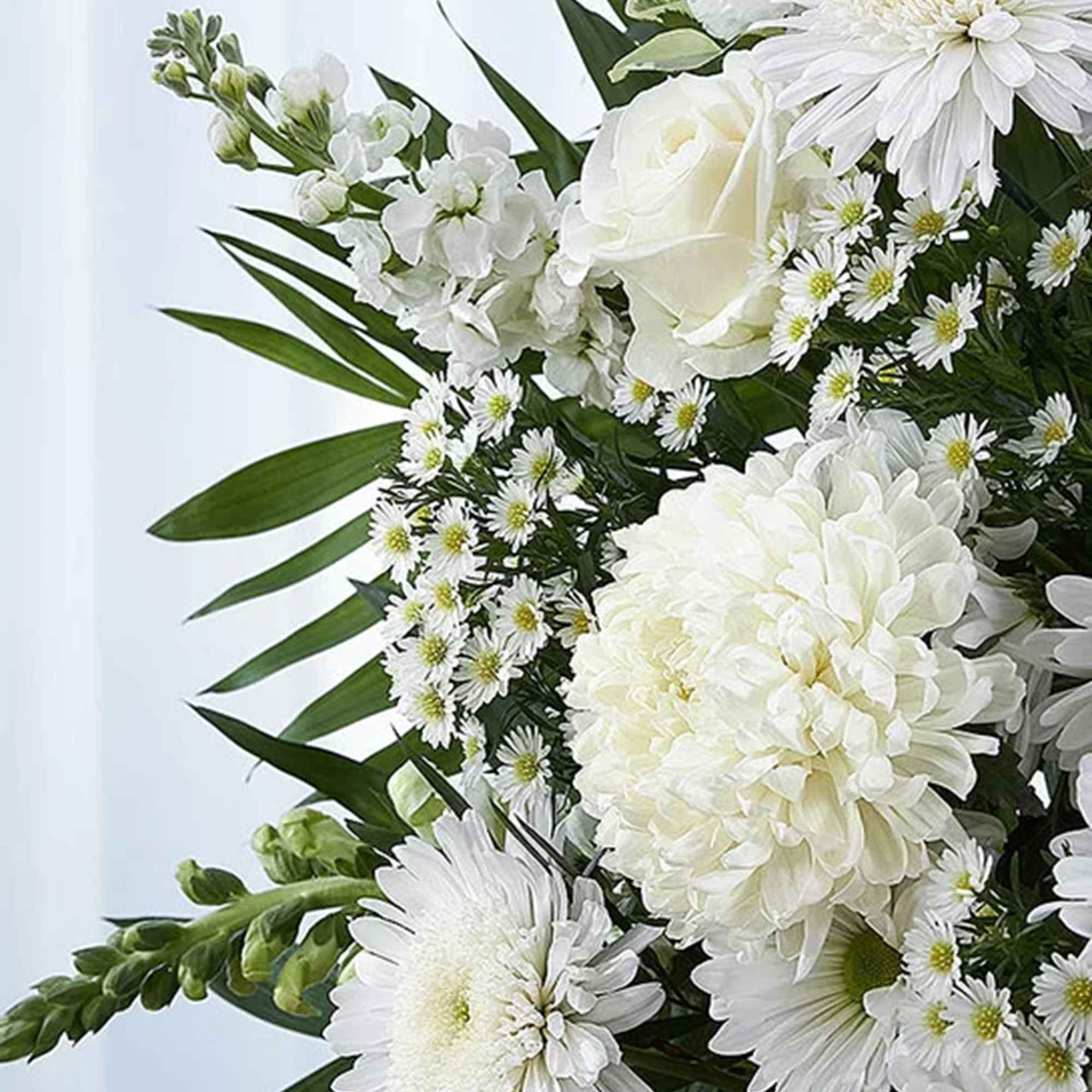 White flowers have a peacefulness &amp; purity to them, bringing hope &amp;