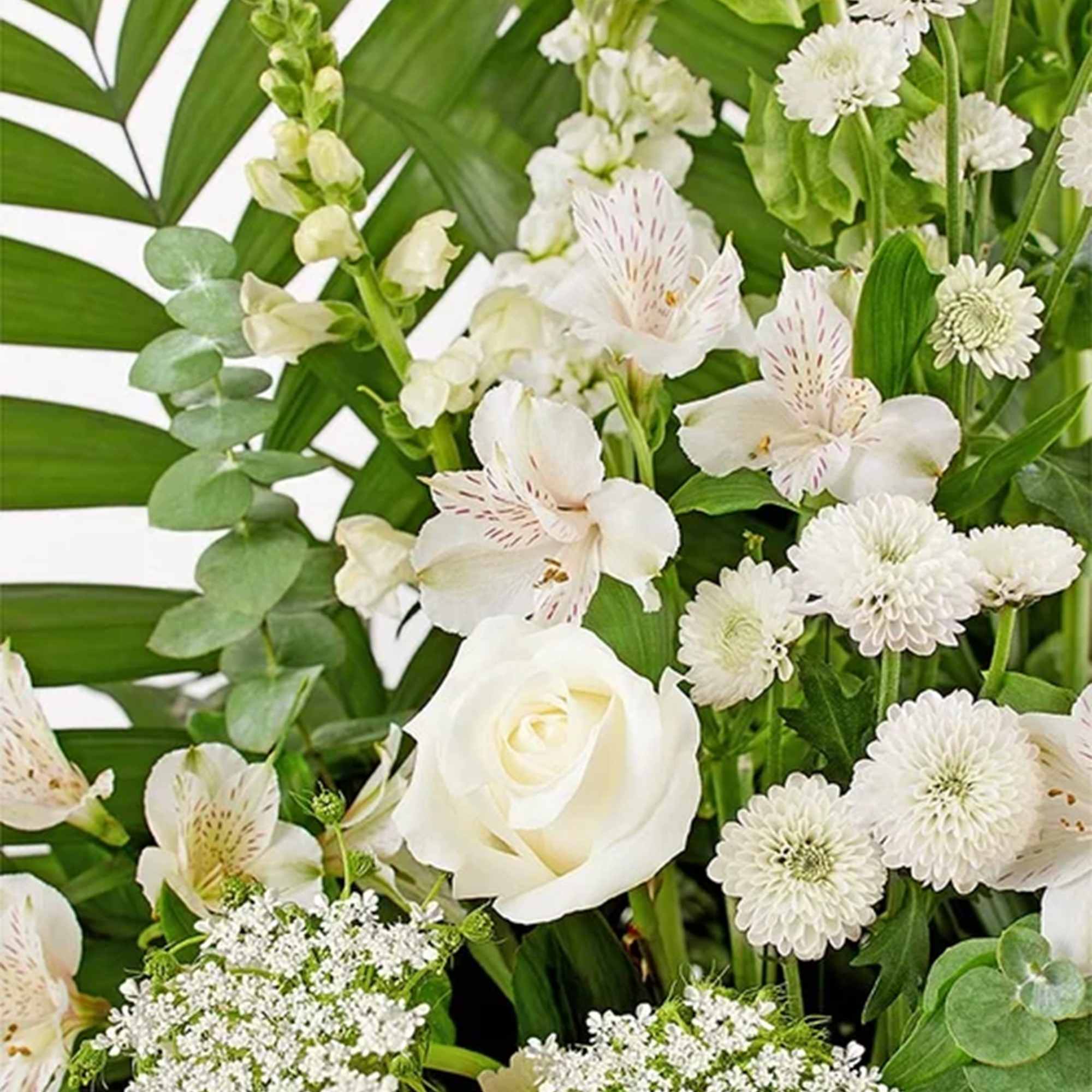 Offer comfort &amp; tranquility with a truly special display to celebrate their