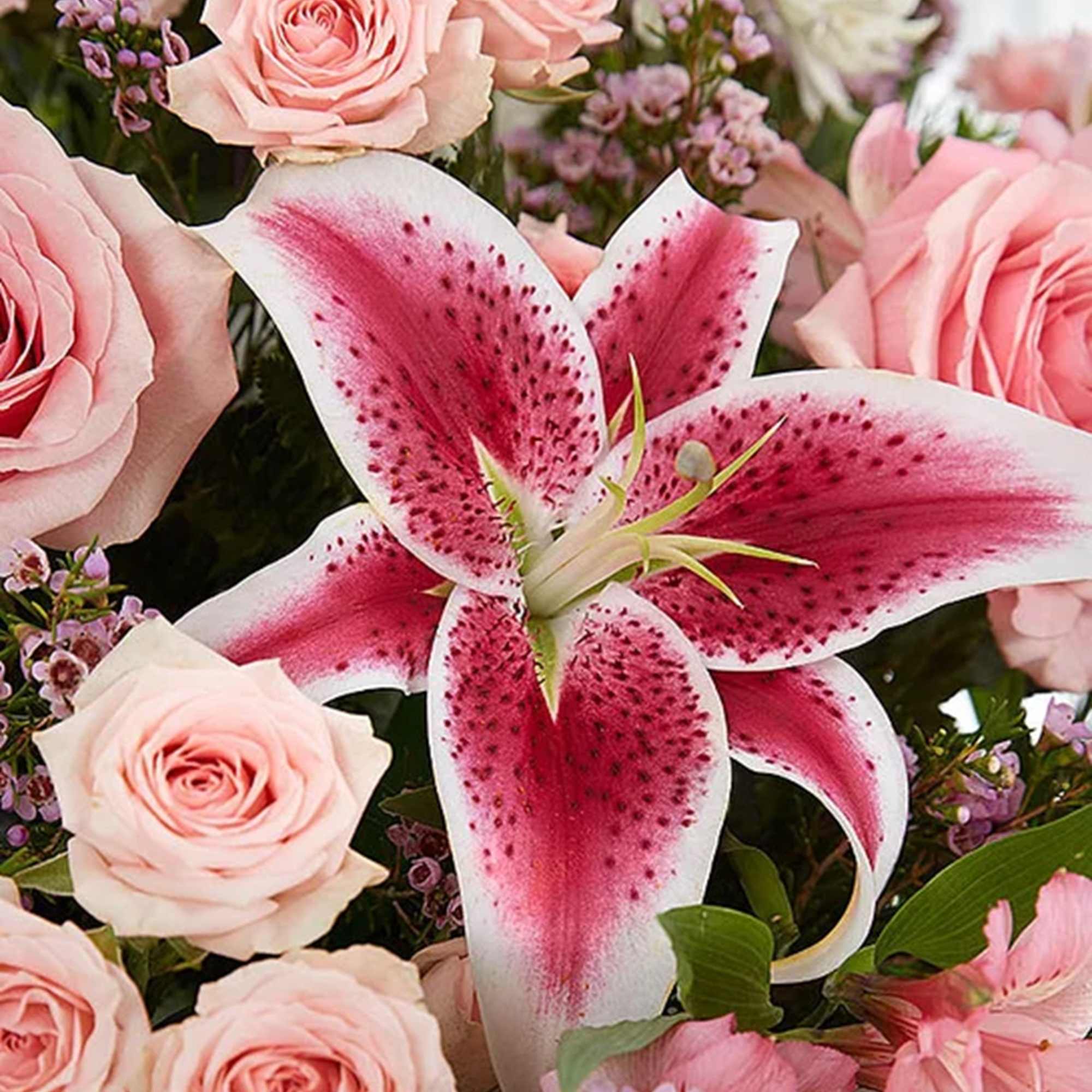 The warmth and kindness they showed will live on forever, and sometimes