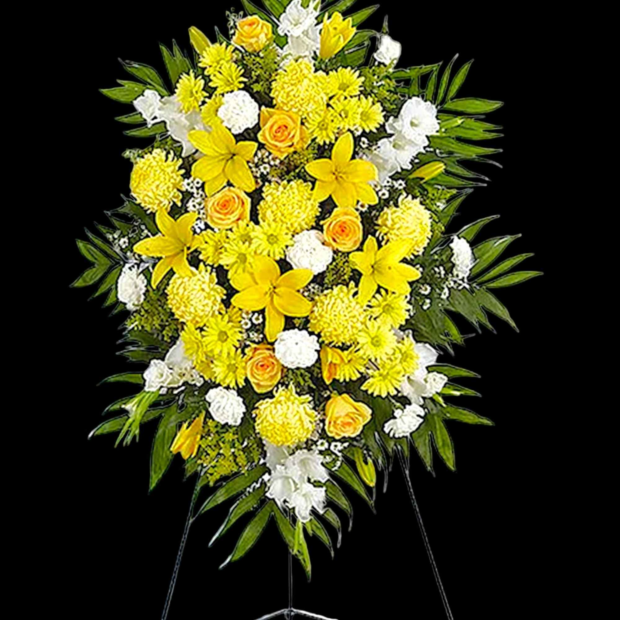 A ray of hope can mean everything after the loss of a