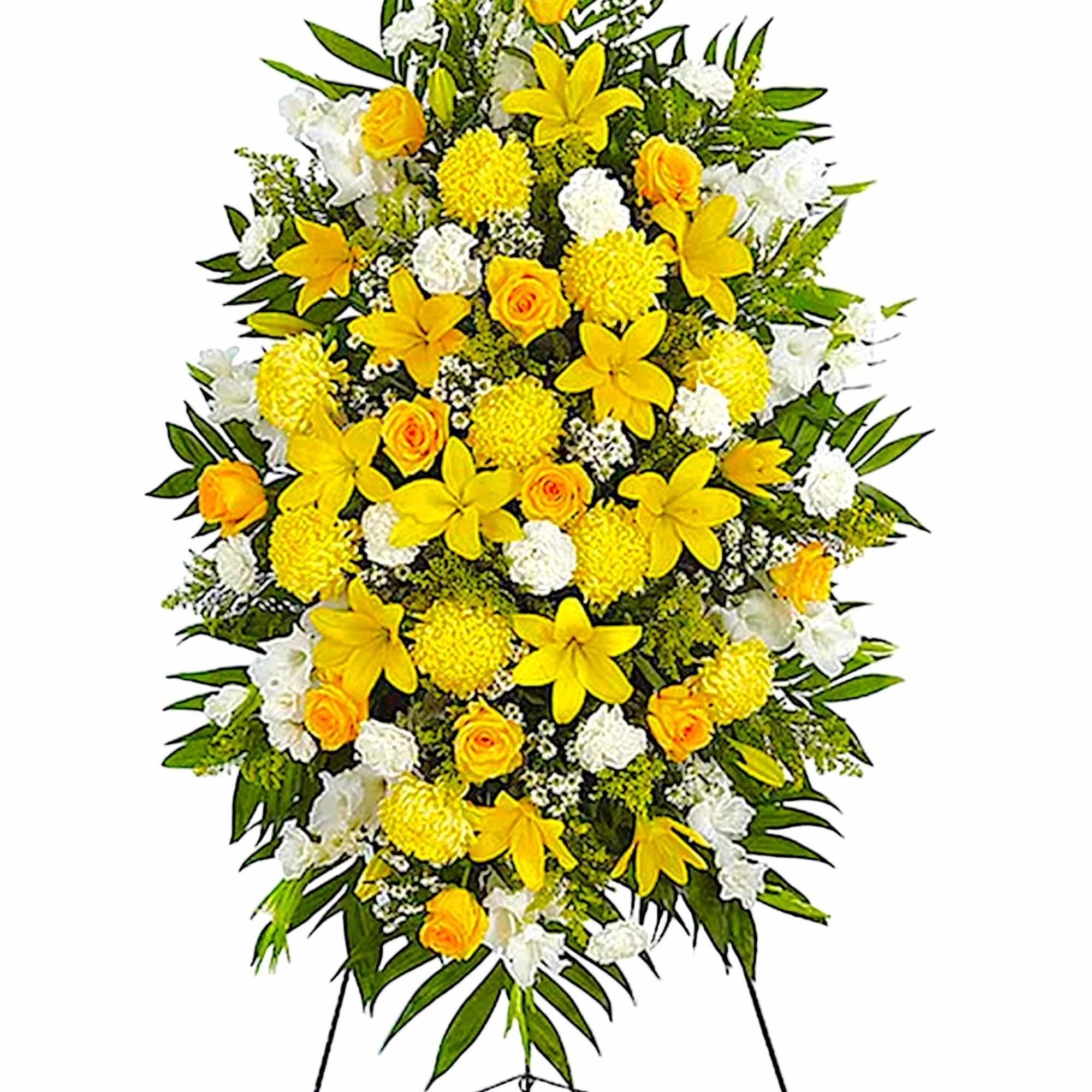 A ray of hope can mean everything after the loss of a