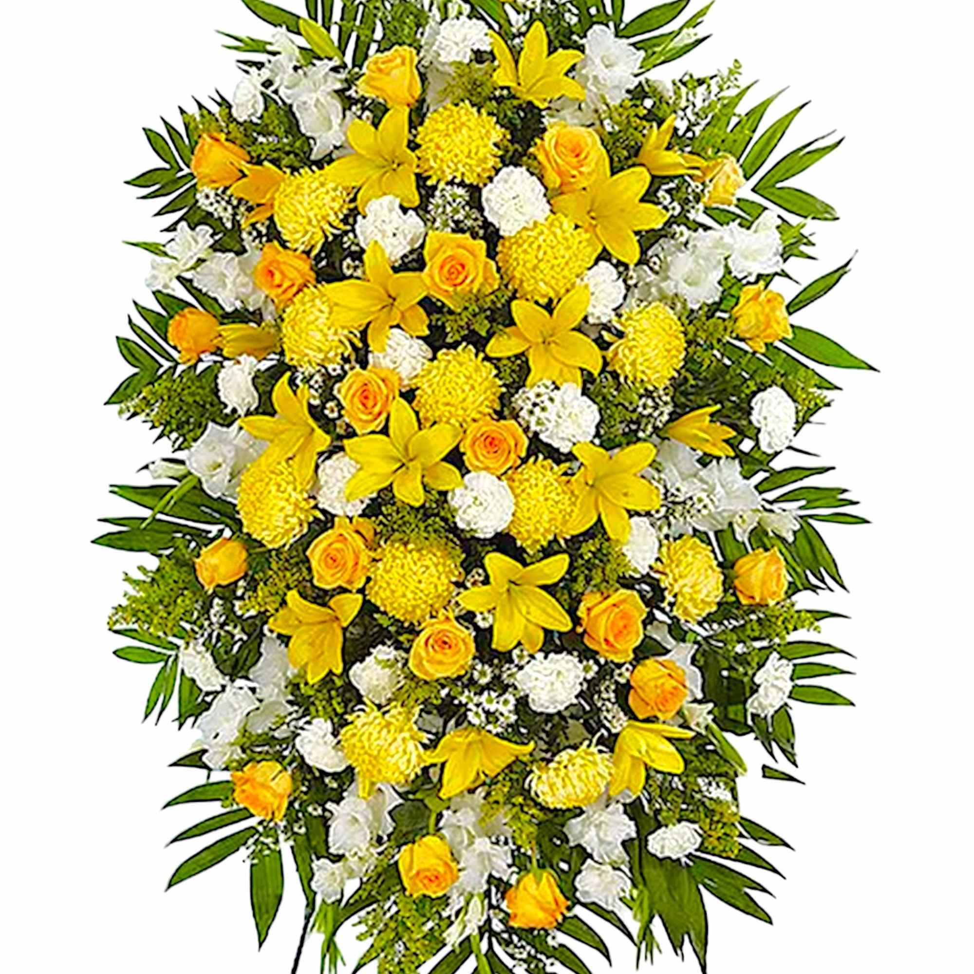 A ray of hope can mean everything after the loss of a