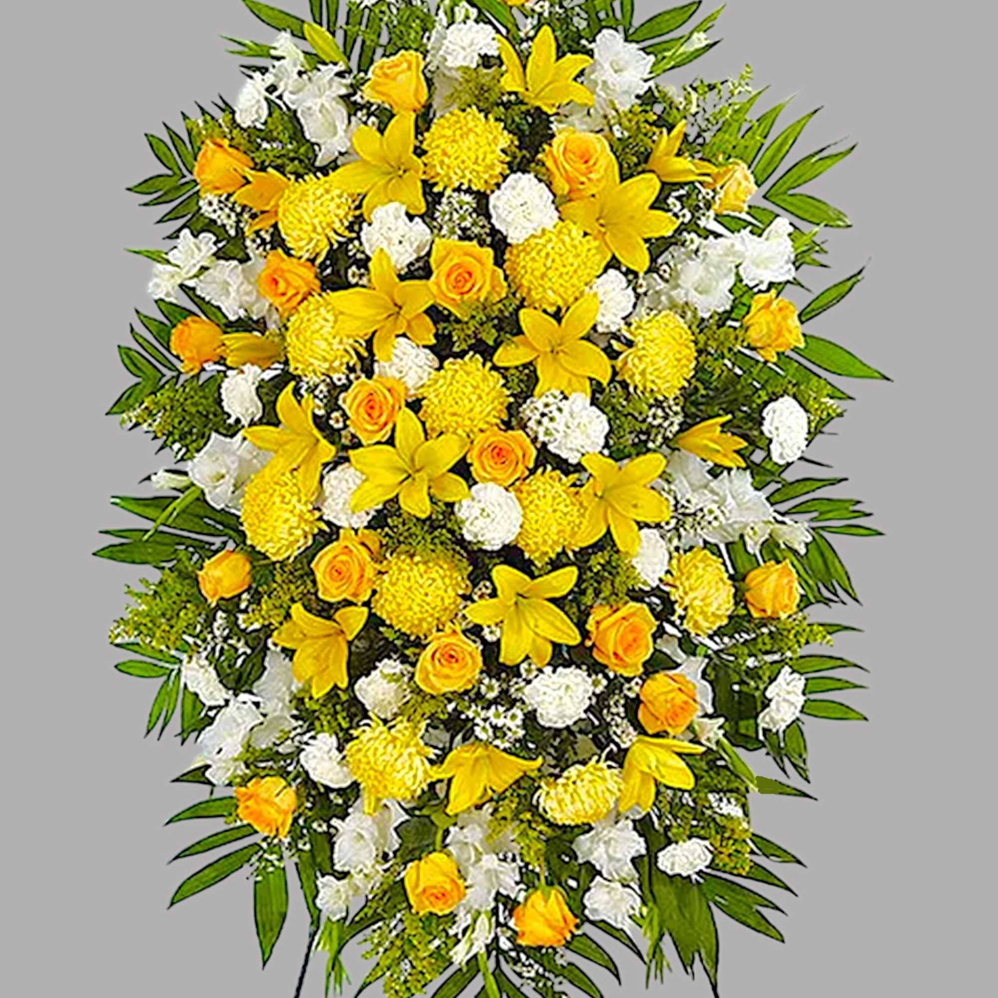 A ray of hope can mean everything after the loss of a