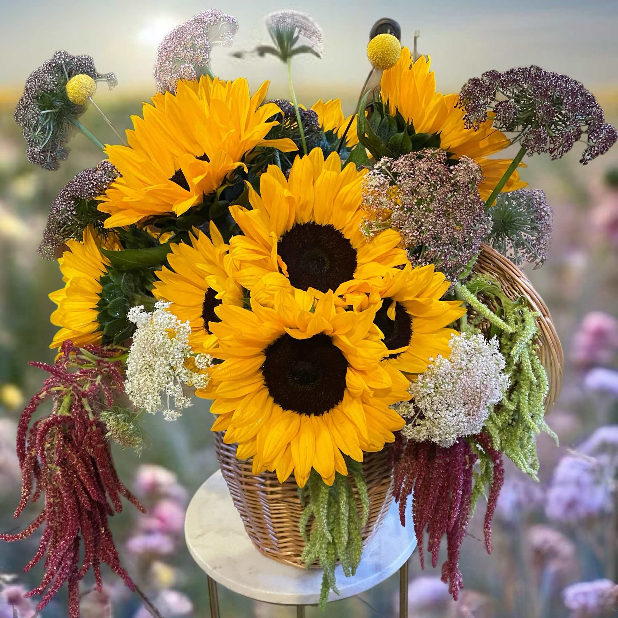 Sunflowers exude a warmth that radiates from their vivid yellow petals, symbolizing
