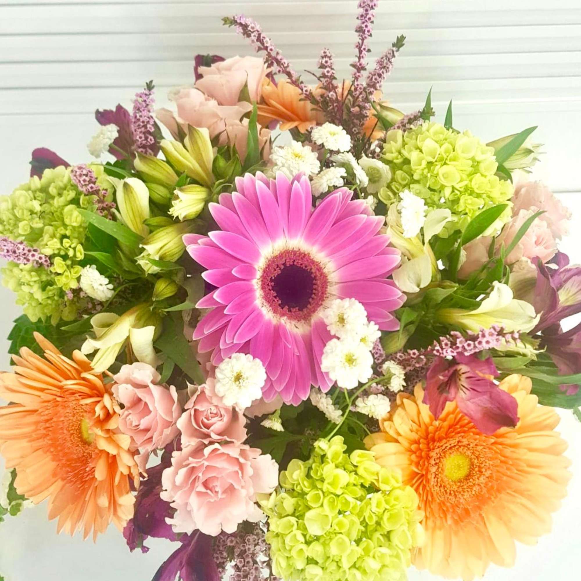 Galvanized Pail filled with Peach and Hot Pink Gerberas, Mini Green Hydrangea