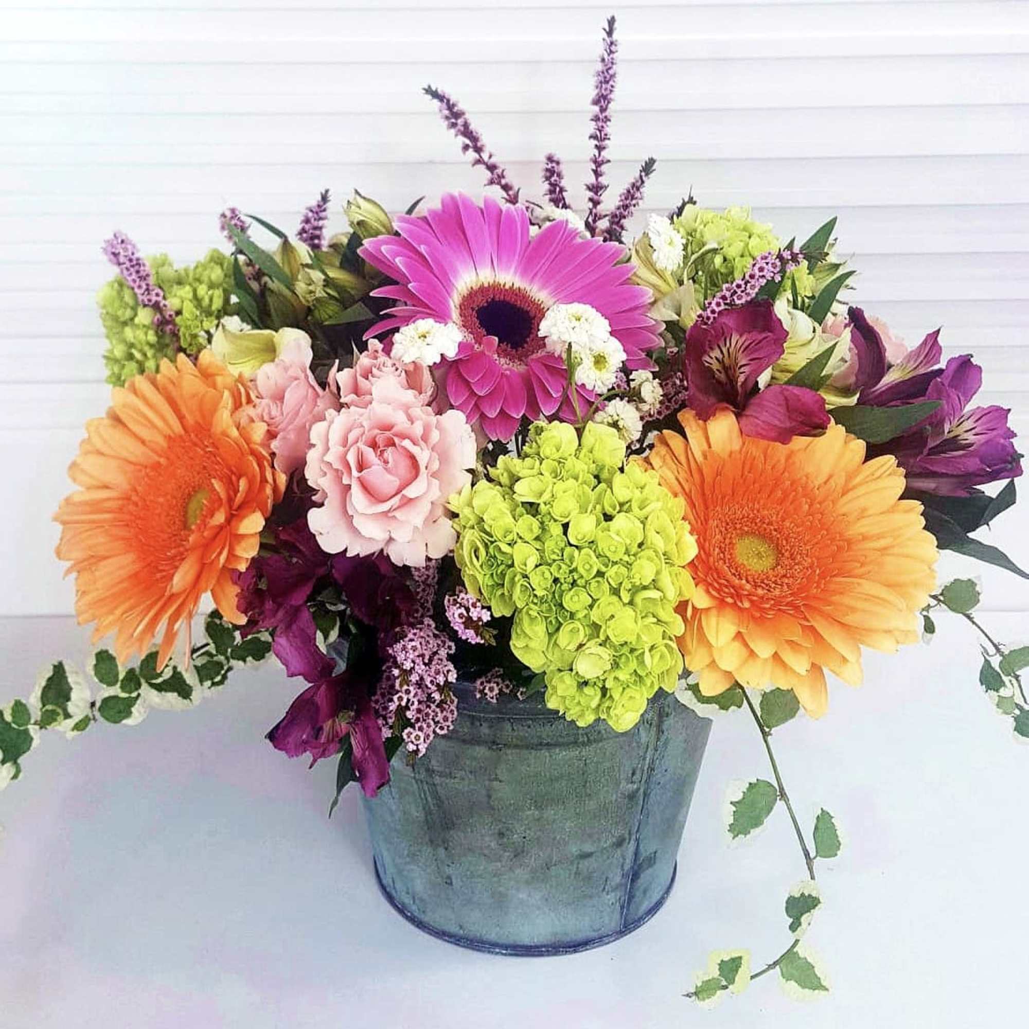 Galvanized Pail filled with Peach and Hot Pink Gerberas, Mini Green Hydrangea