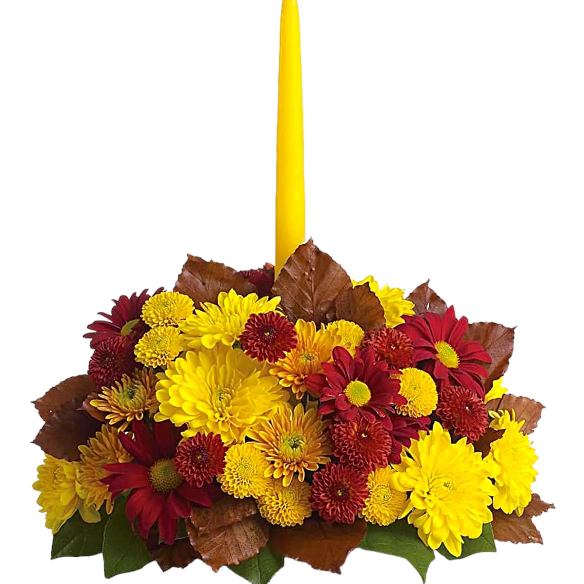 Happy yellow mums and a taper candle bring sunshine to your Thanksgiving