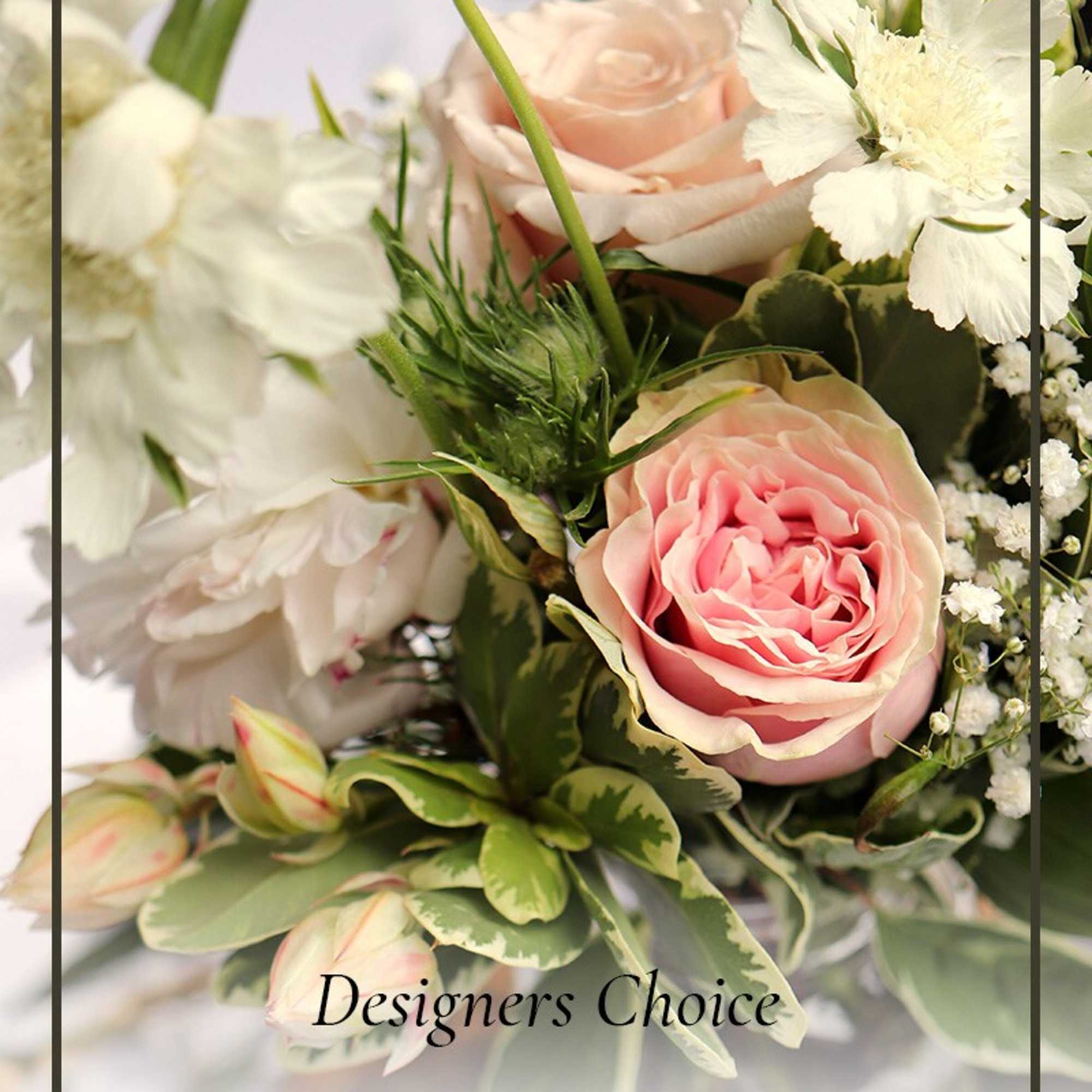 Designer&rsquo;s Choice is the perfect option for those special occasions that deserve