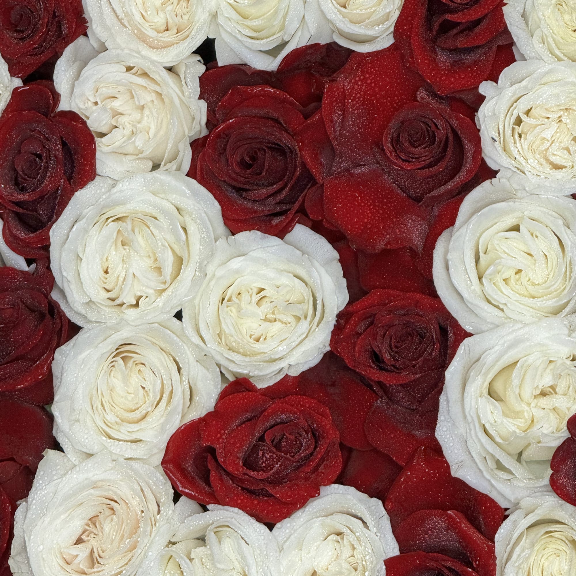 Their pure heart and peaceful spirit will live on in a gesture