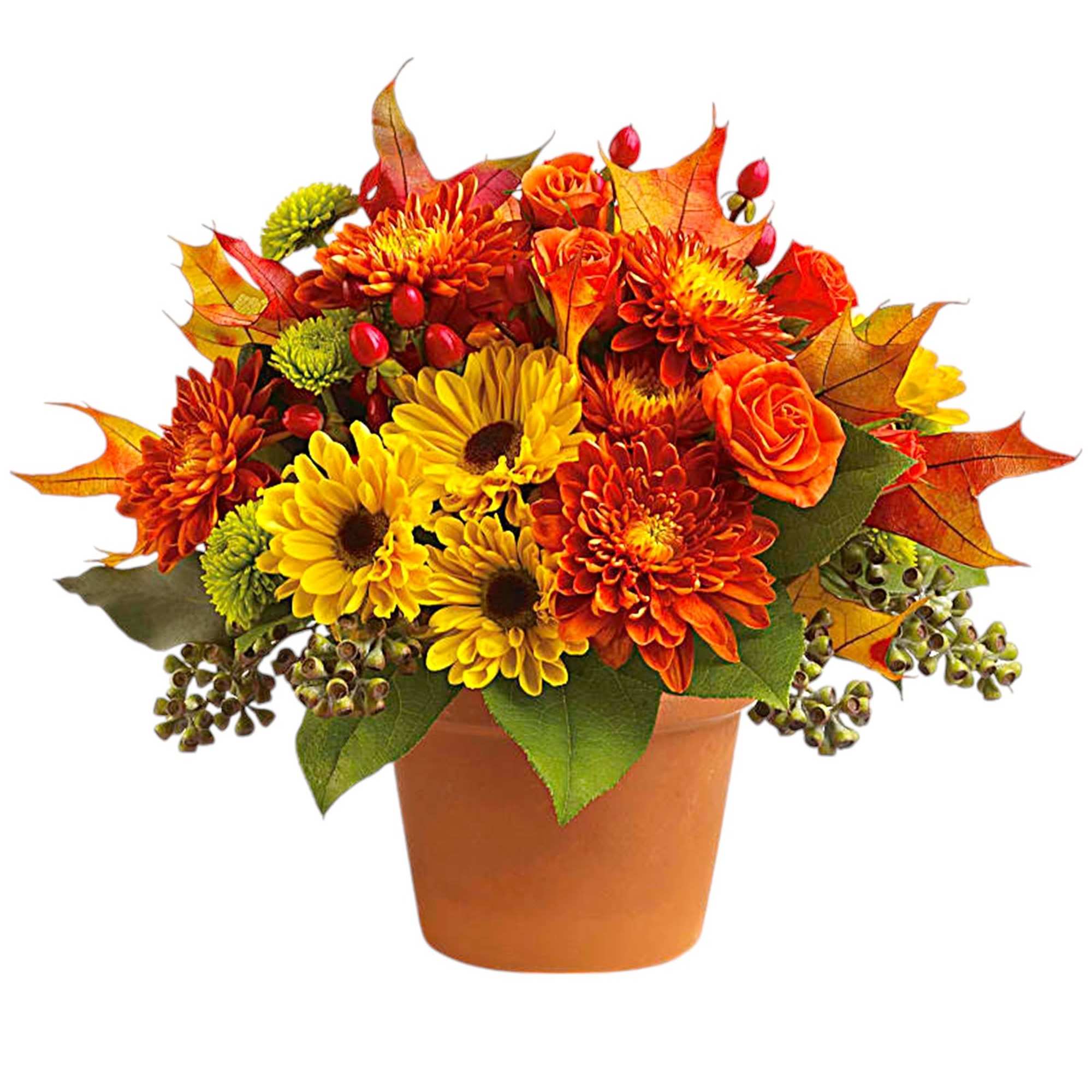 Autumnal colors are nestled together with brilliant fall leaves to create a