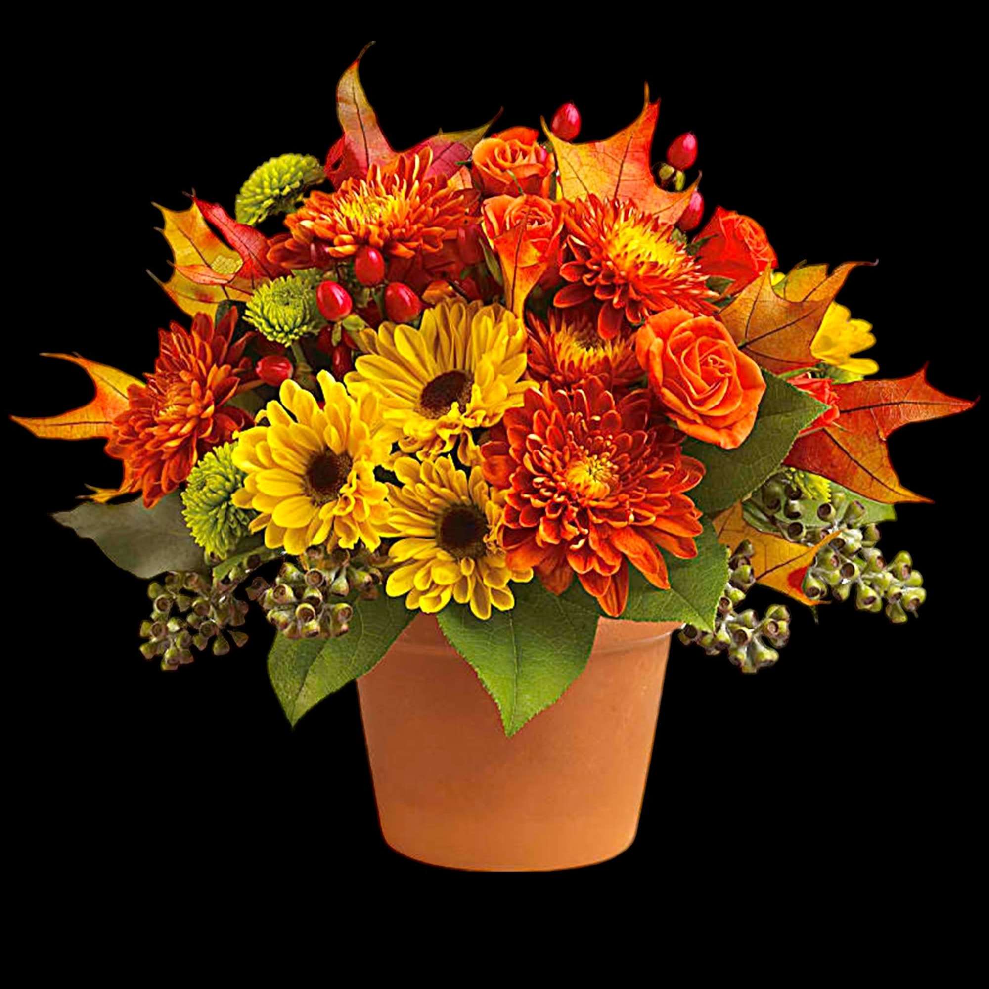 Autumnal colors are nestled together with brilliant fall leaves to create a