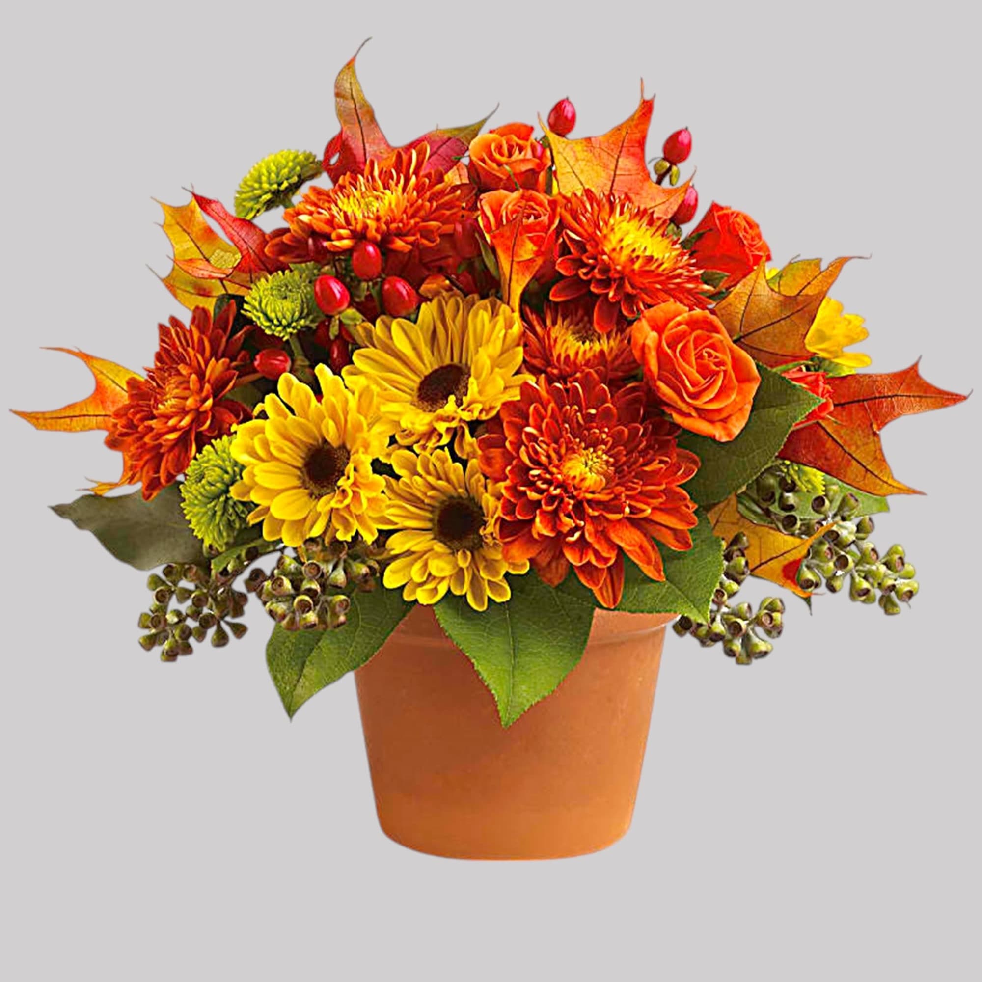 Autumnal colors are nestled together with brilliant fall leaves to create a