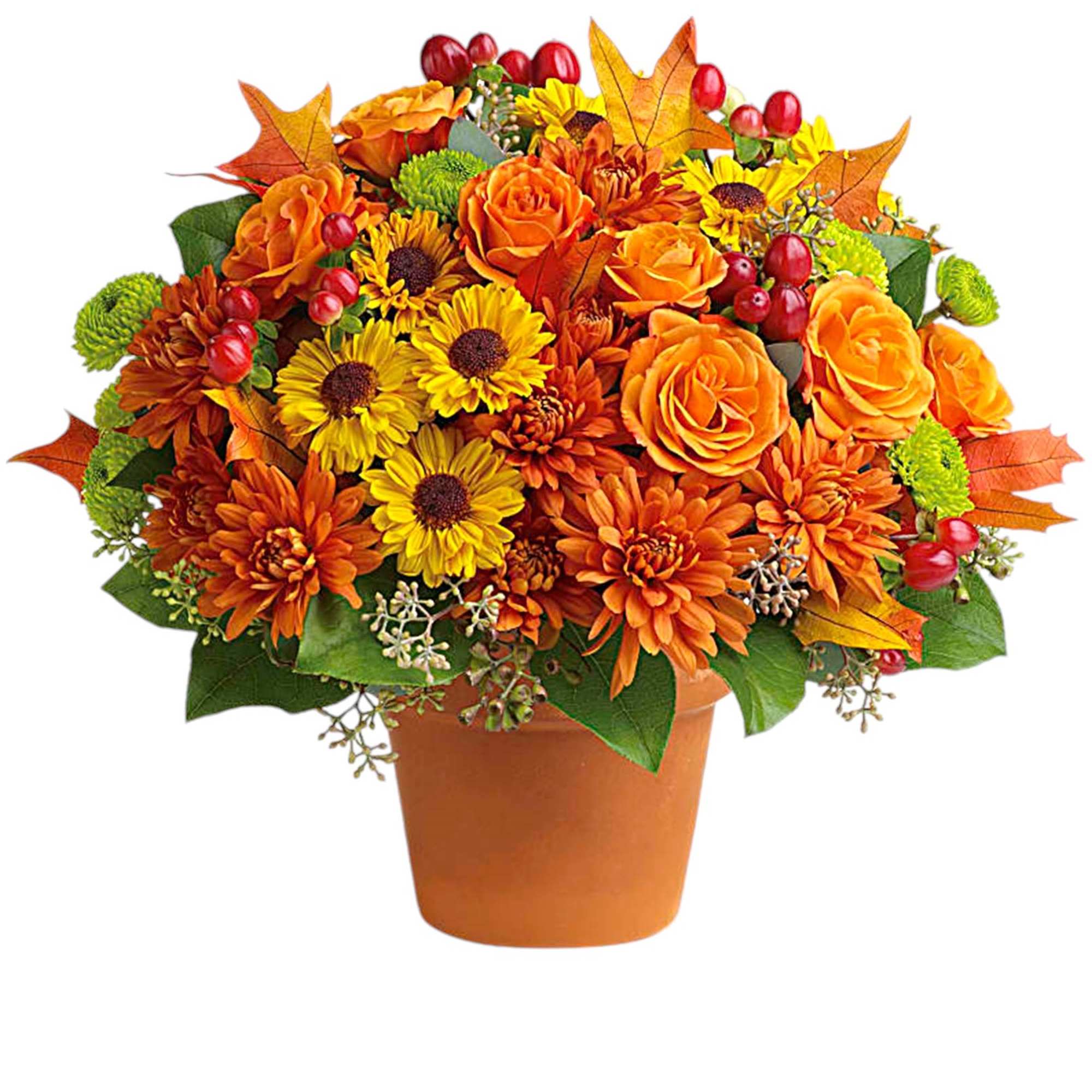 Autumnal colors are nestled together with brilliant fall leaves to create a