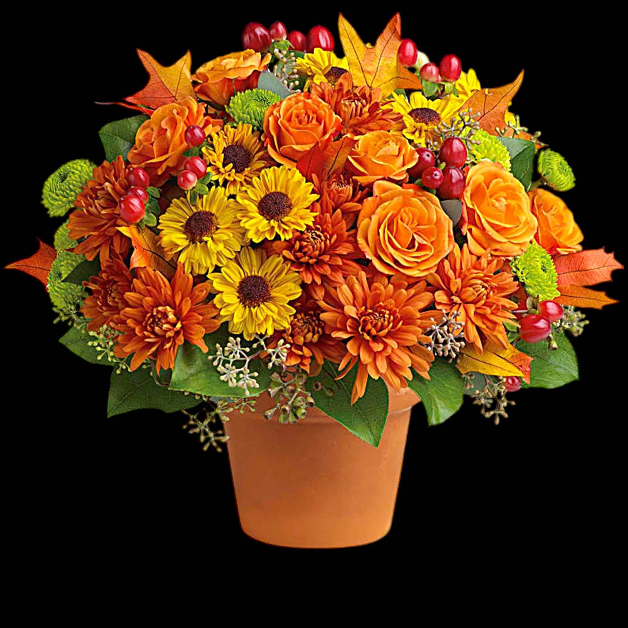 Autumnal colors are nestled together with brilliant fall leaves to create a