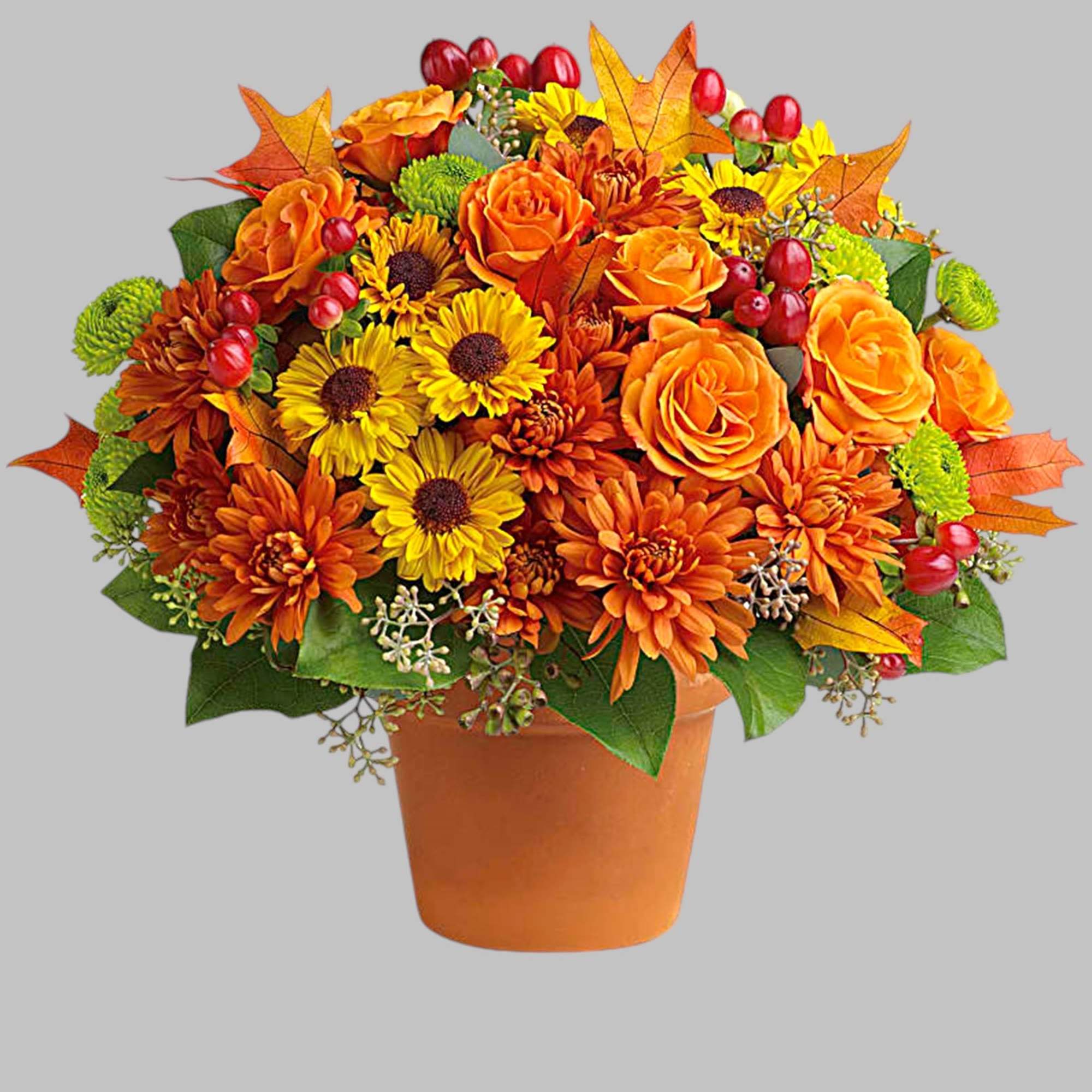 Autumnal colors are nestled together with brilliant fall leaves to create a