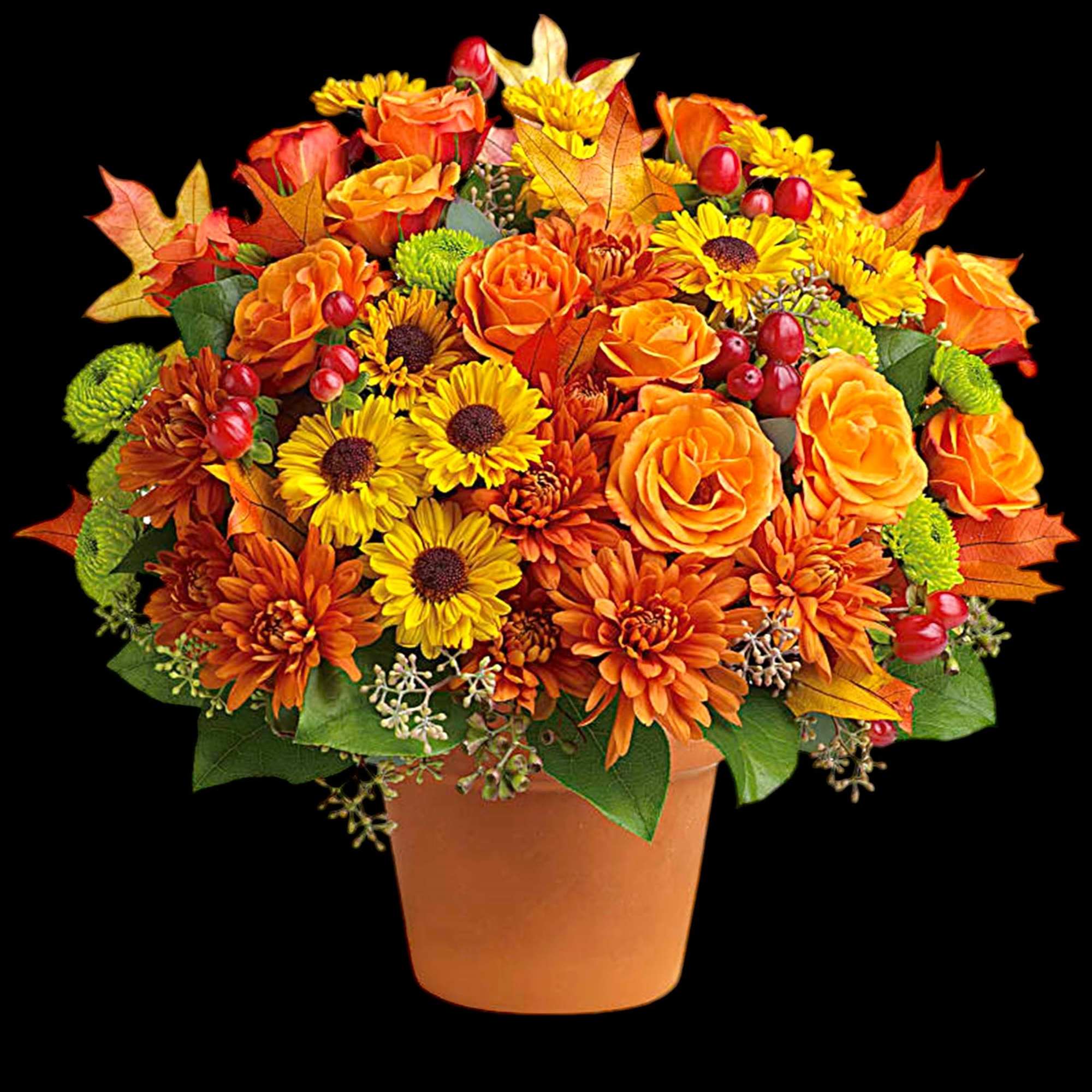 Autumnal colors are nestled together with brilliant fall leaves to create a