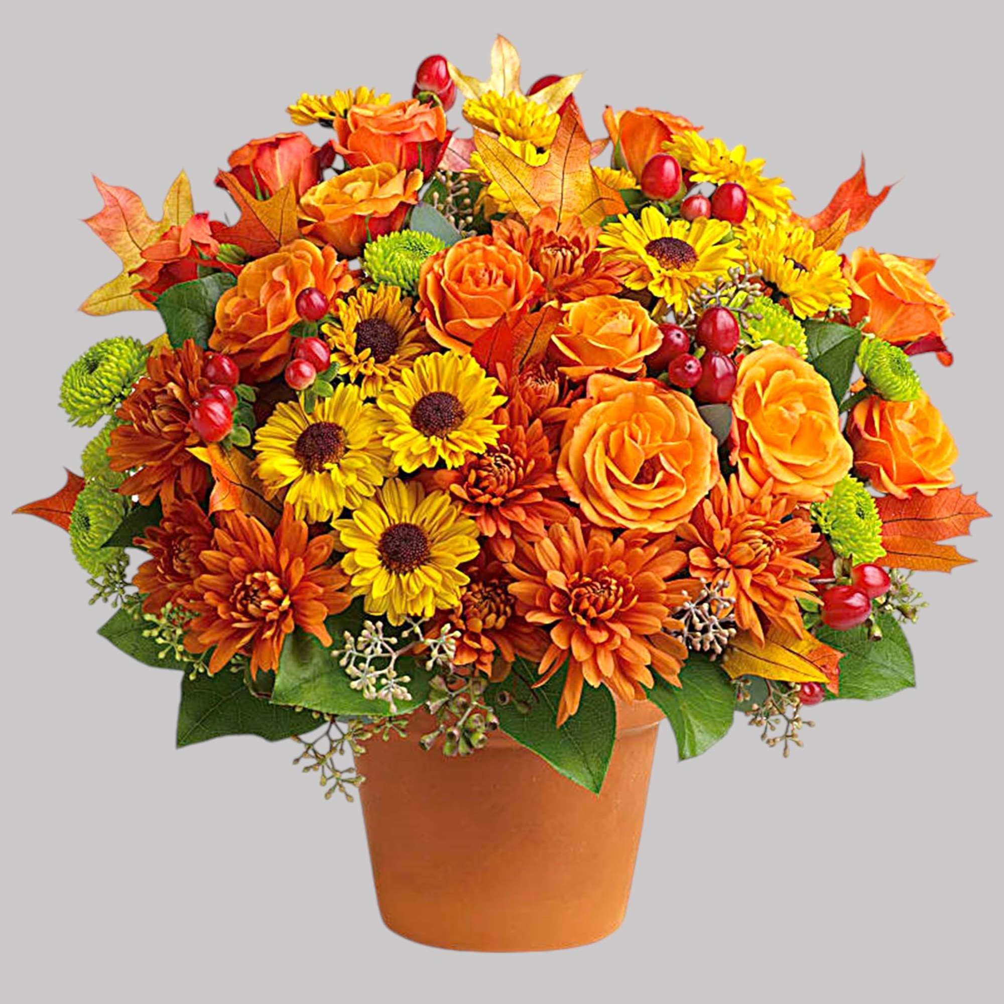 Autumnal colors are nestled together with brilliant fall leaves to create a