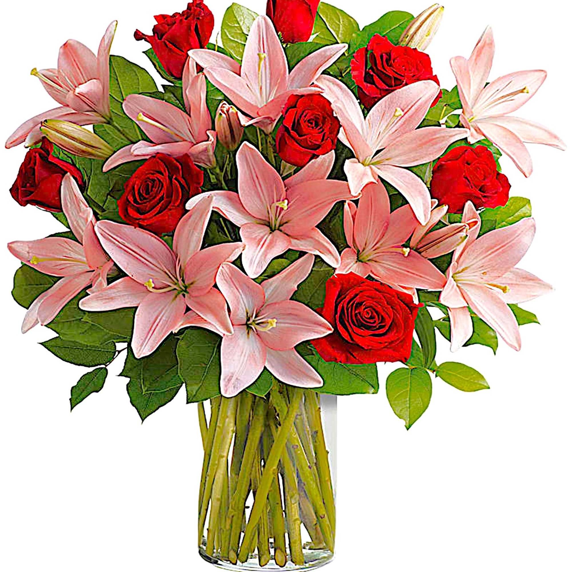 Paint her world with enchantment! A palette of rich red roses and