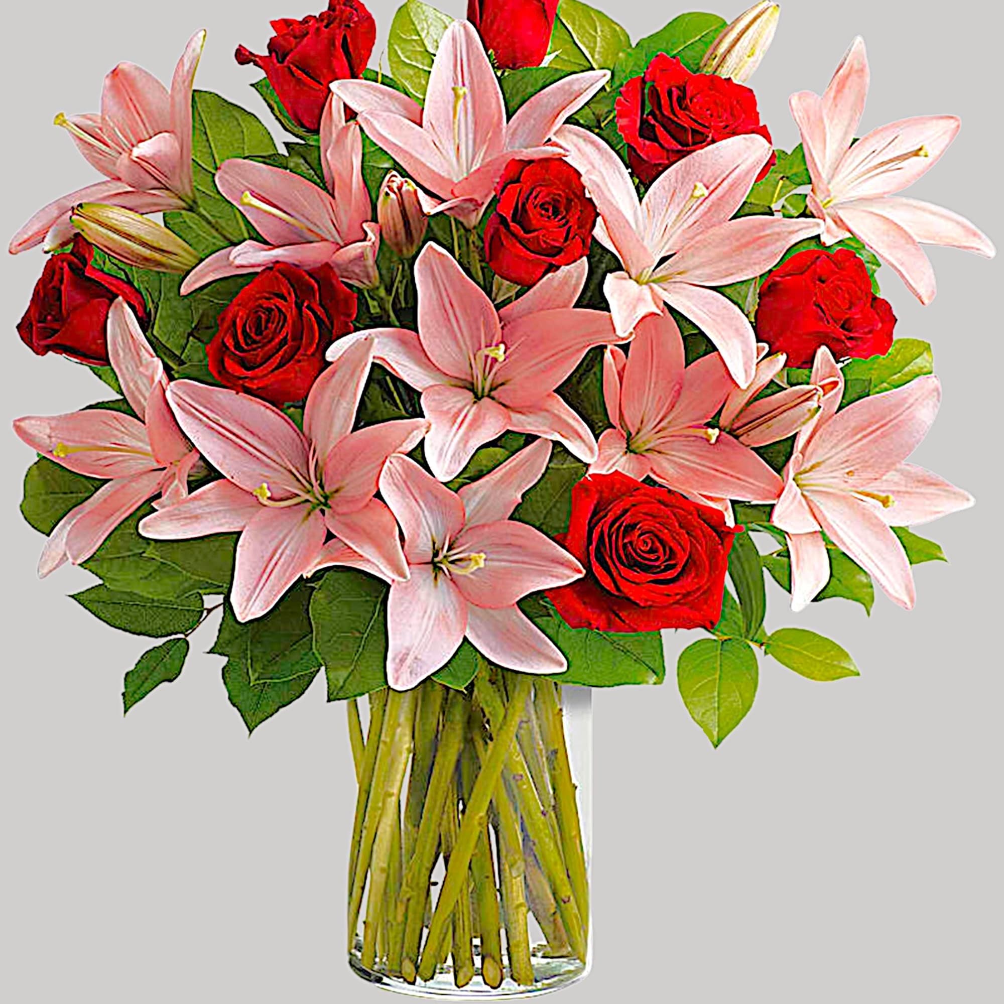 Paint her world with enchantment! A palette of rich red roses and