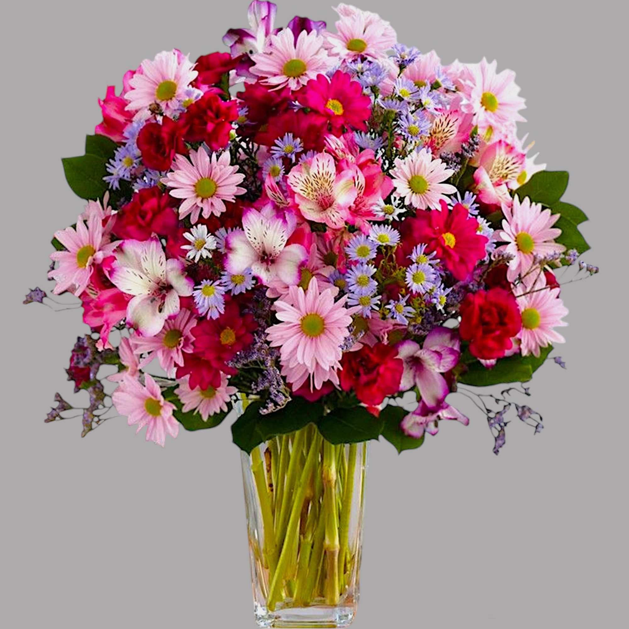 The perfect pick for a cheerful celebration! This cheerful blooms arrangement will