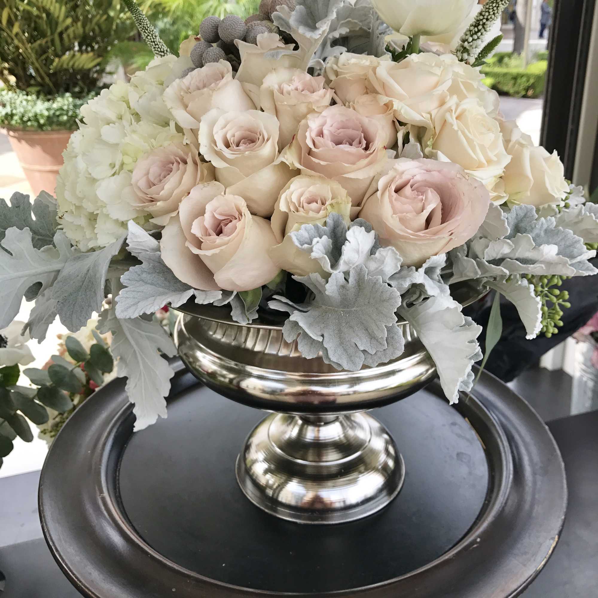 R91CP【Carola flower】 Carola Rose Plant｜卡罗拉 – Rose_Explosion