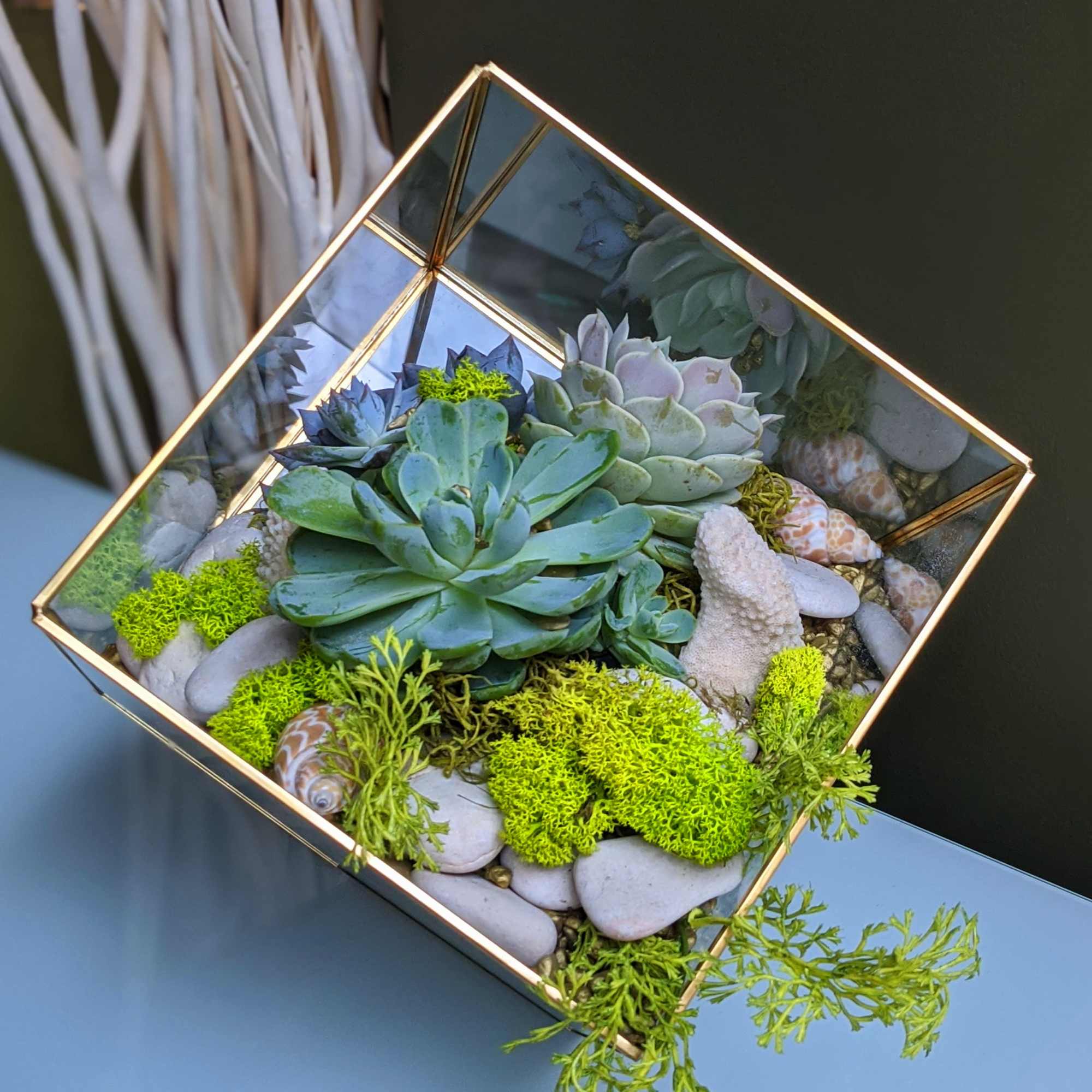 This fine glass terrarium edged in gold metal is one of a