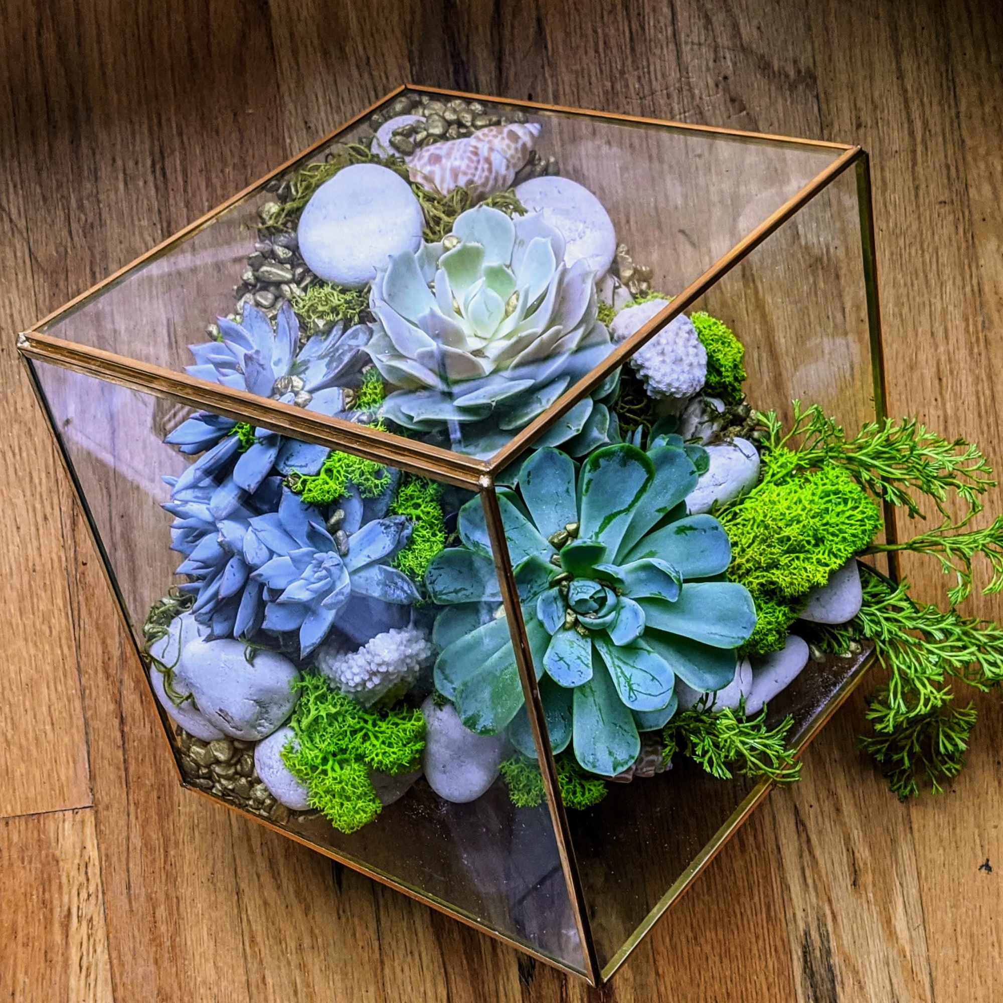 This fine glass terrarium edged in gold metal is one of a