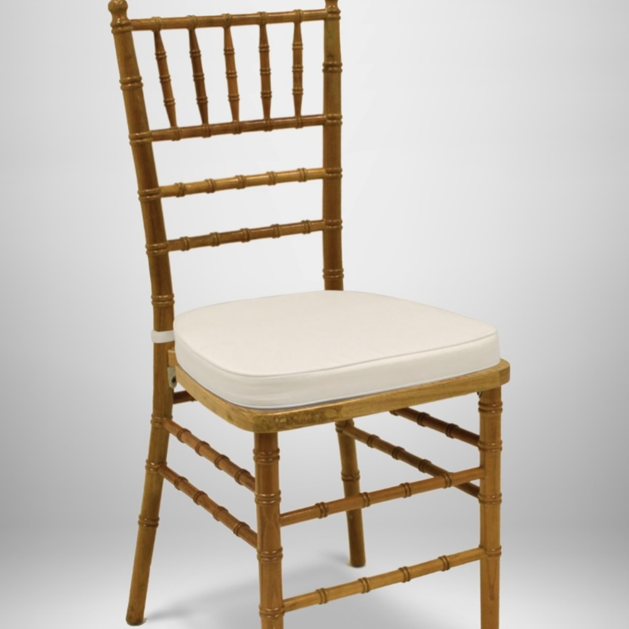 RENT ONLY - Price does not include delivery/pick up charge

Includes chair pad