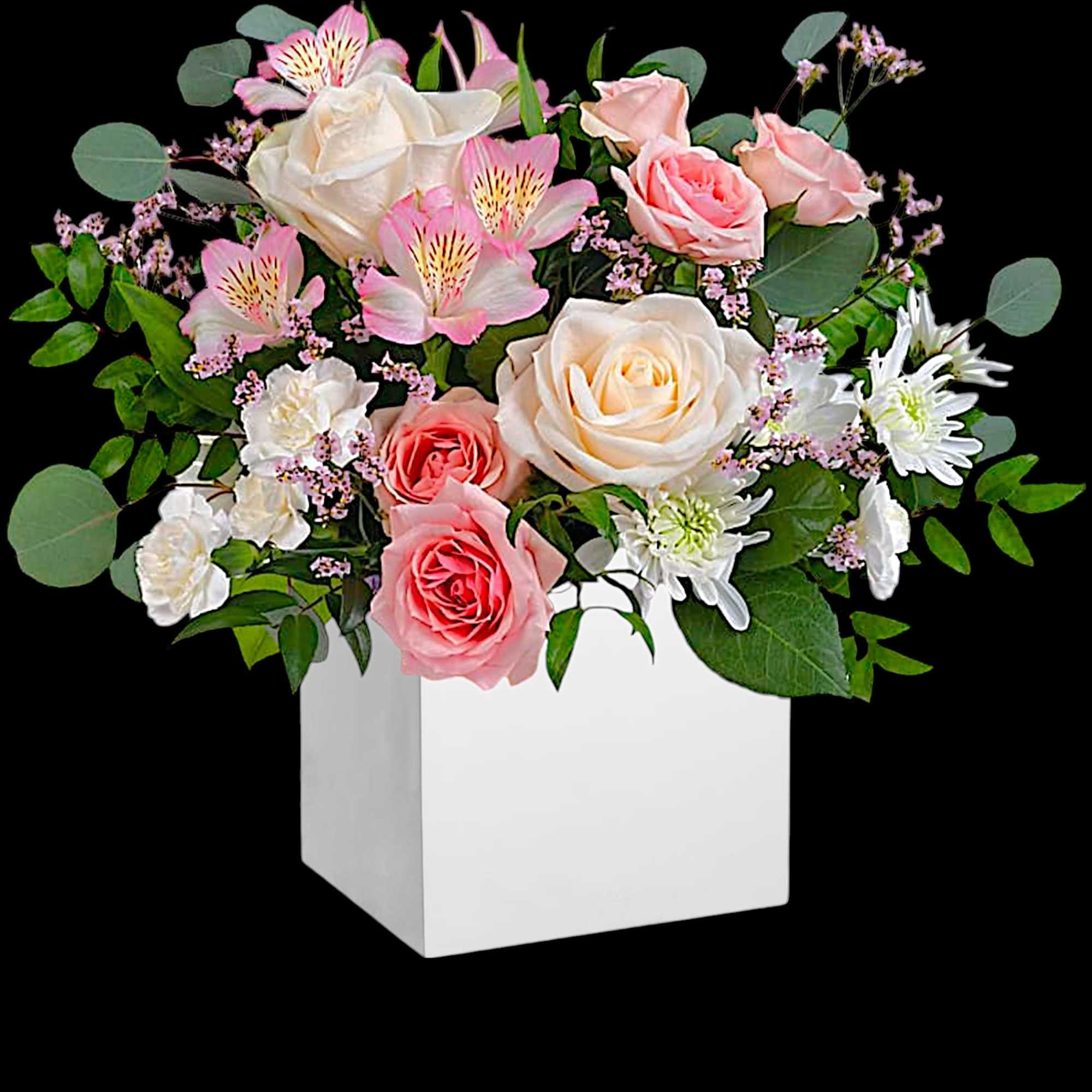 Gift timeless elegance with our vibrant pink and creme flower arrangement.

DETAILS
Cr&egrave;me roses