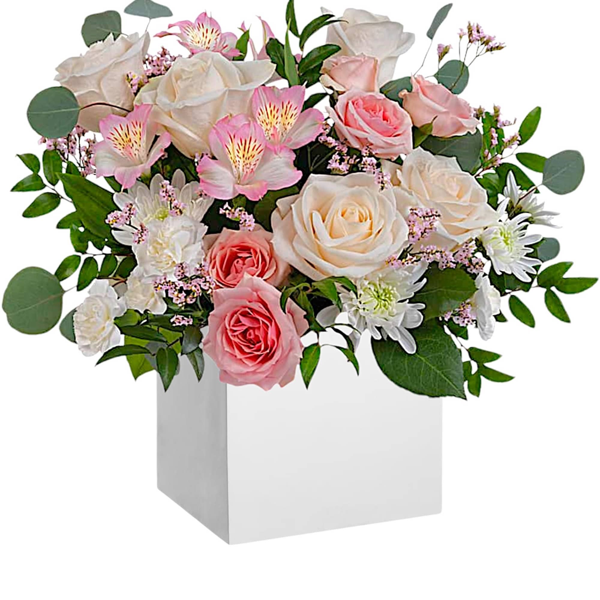 Gift timeless elegance with our vibrant pink and creme flower arrangement.

DETAILS
Cr&egrave;me roses