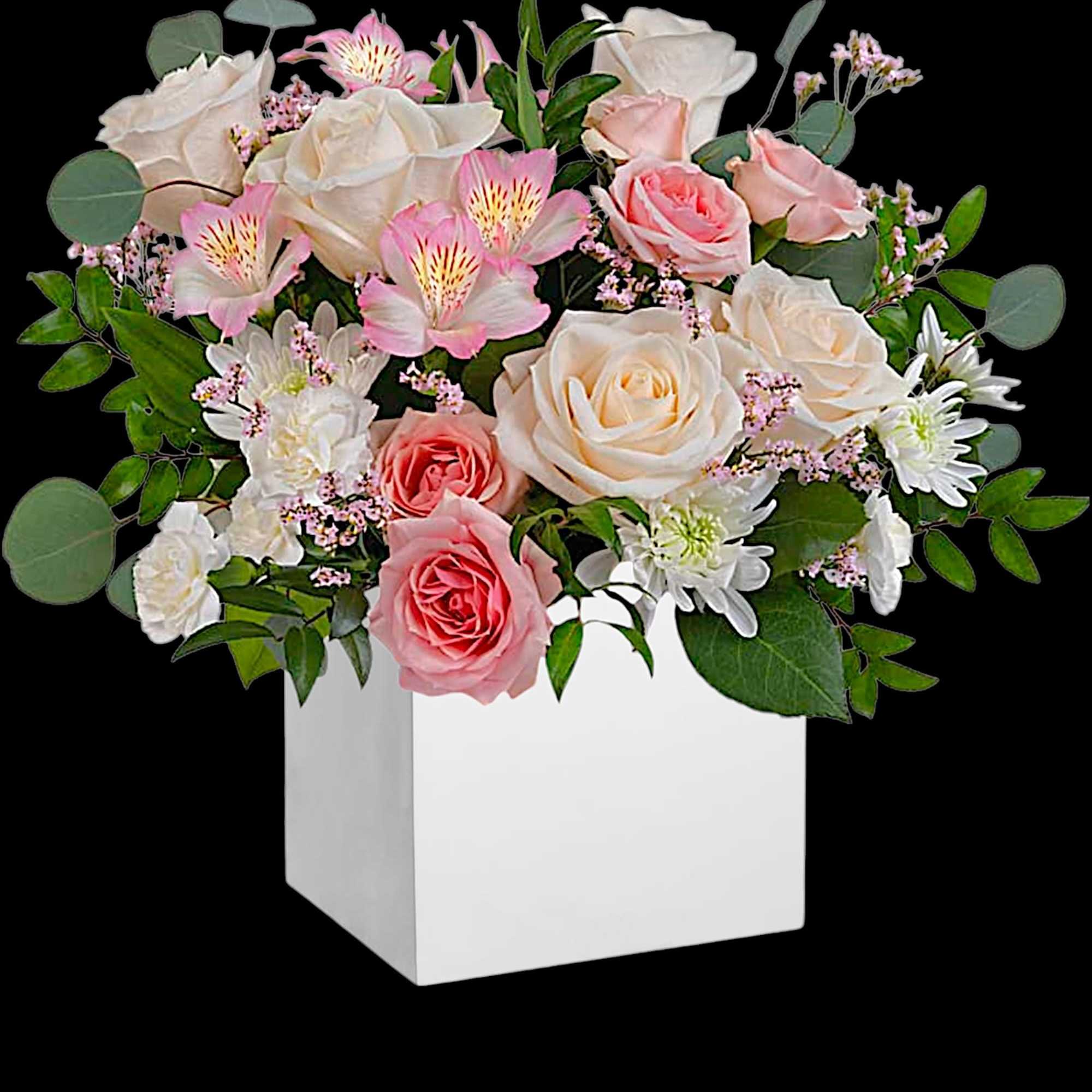 Gift timeless elegance with our vibrant pink and creme flower arrangement.

DETAILS
Cr&egrave;me roses