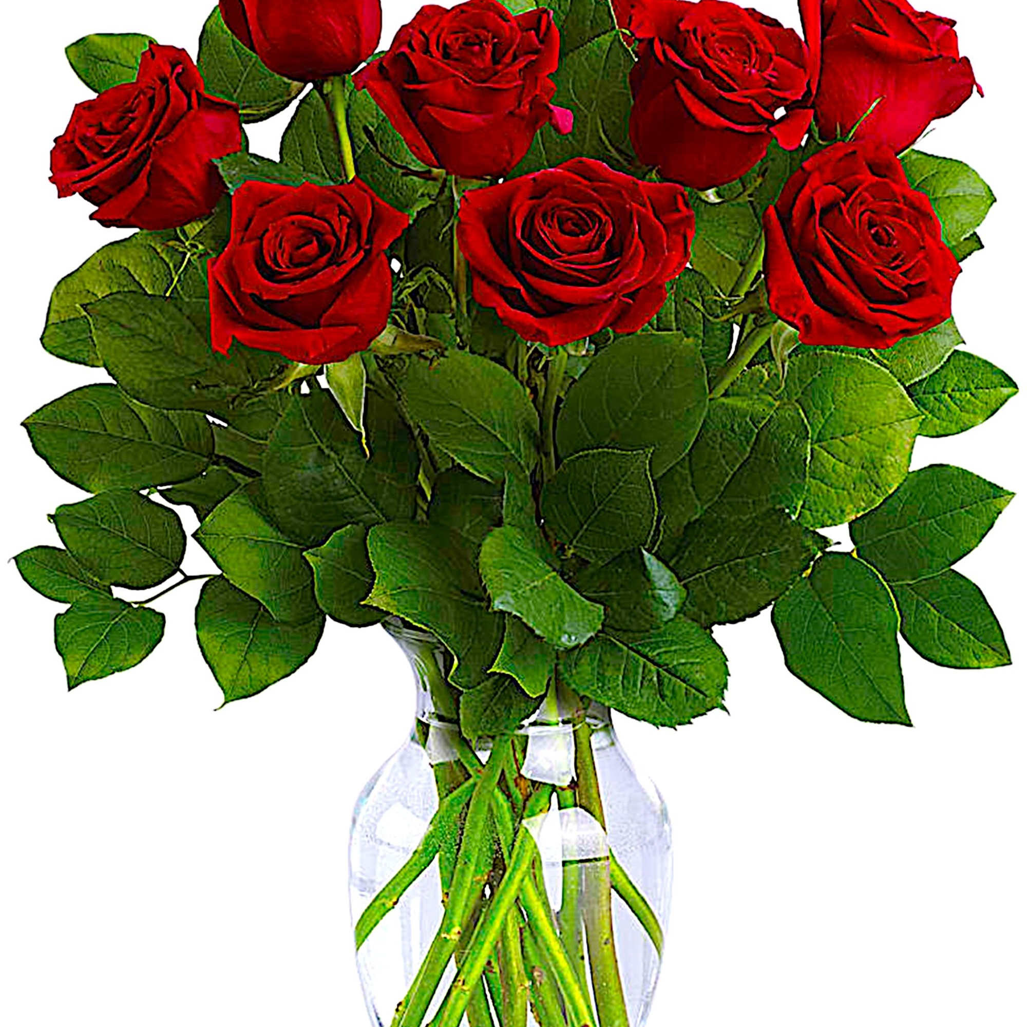 Romancing the rose! Nothing says &quot;I love you&quot; like a dramatic arrangement