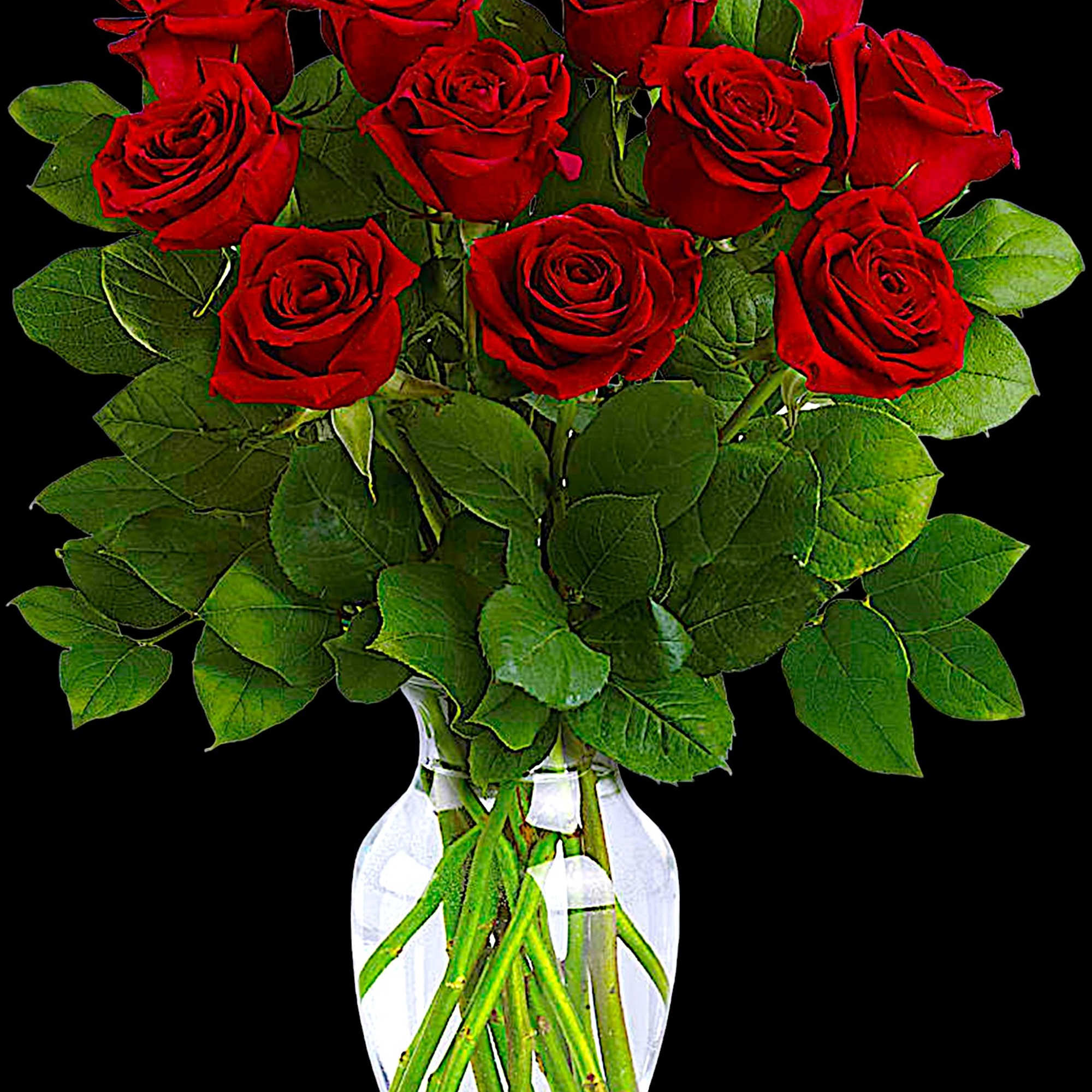Romancing the rose! Nothing says &quot;I love you&quot; like a dramatic arrangement