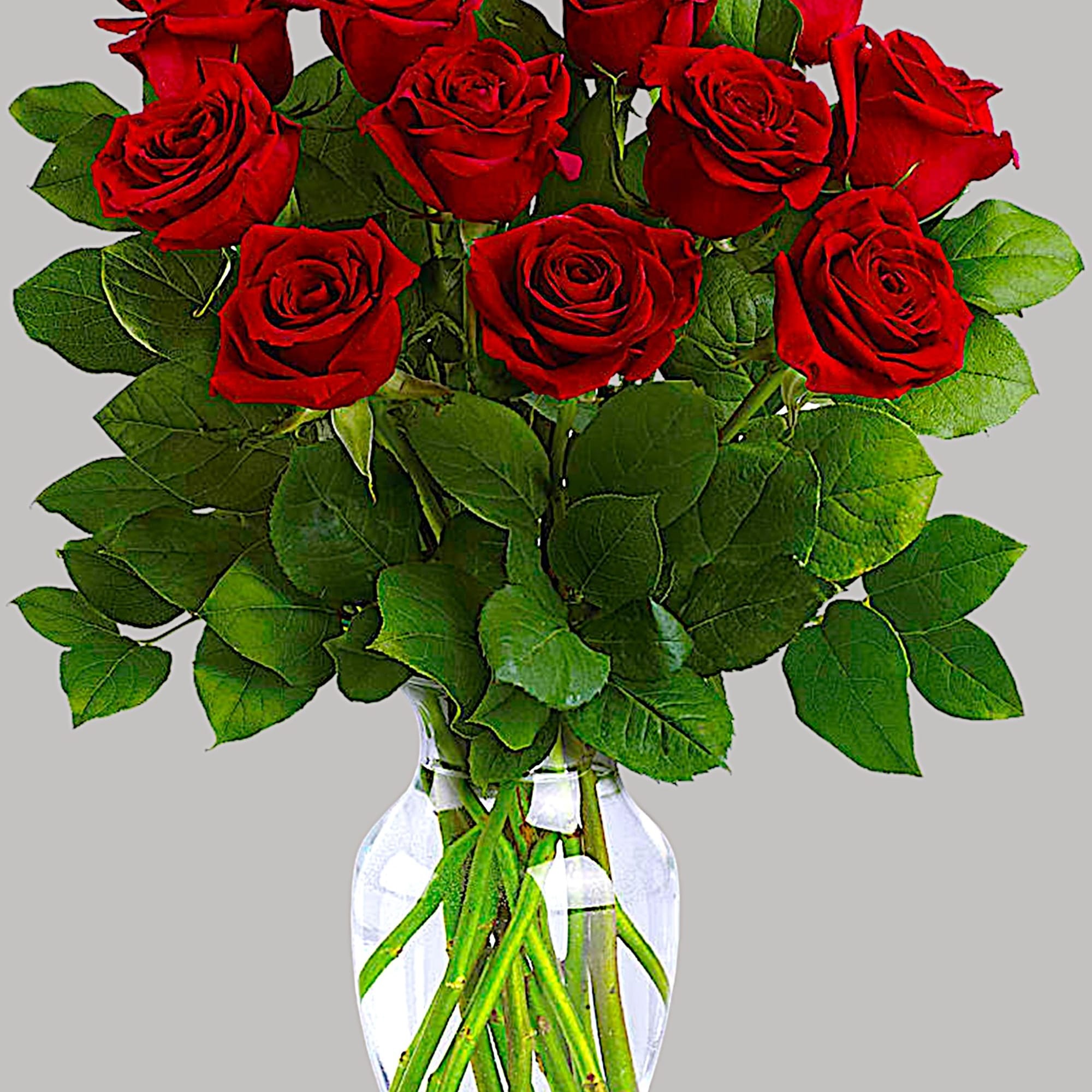 Romancing the rose! Nothing says &quot;I love you&quot; like a dramatic arrangement