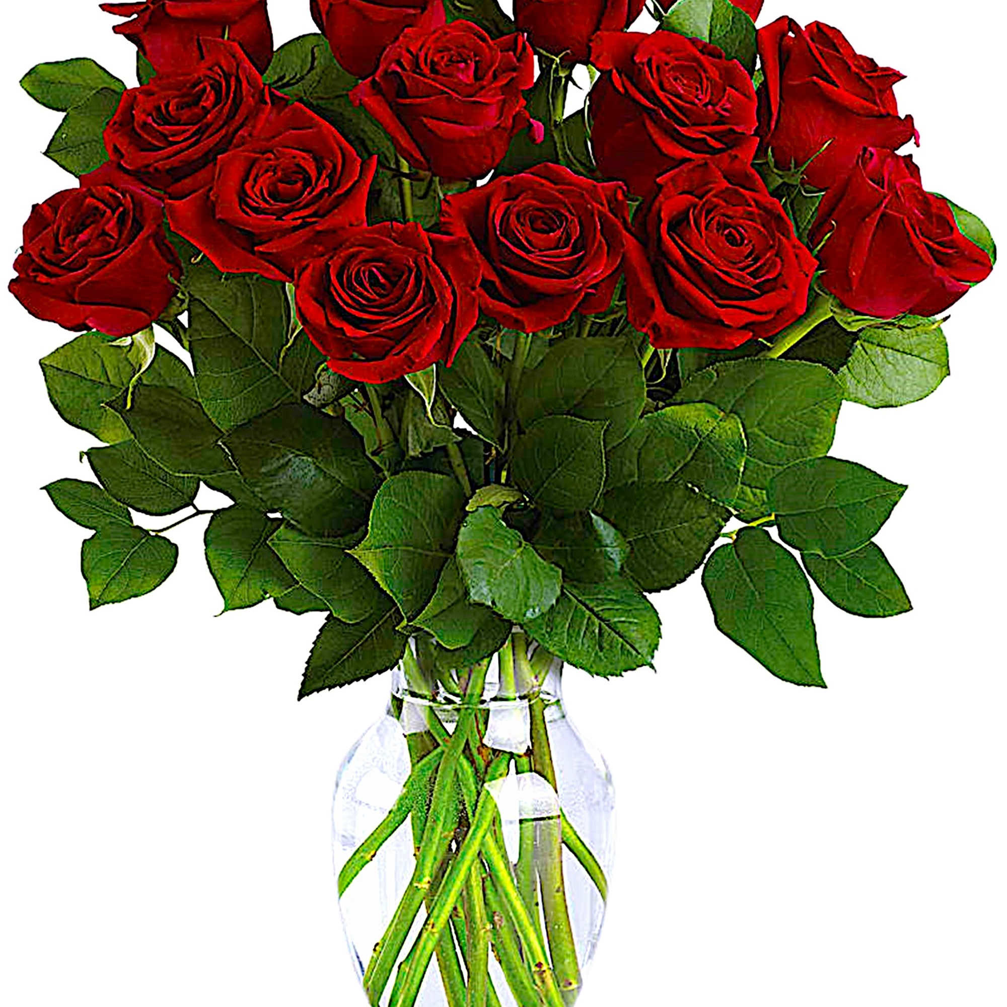 Romancing the rose! Nothing says &quot;I love you&quot; like a dramatic arrangement